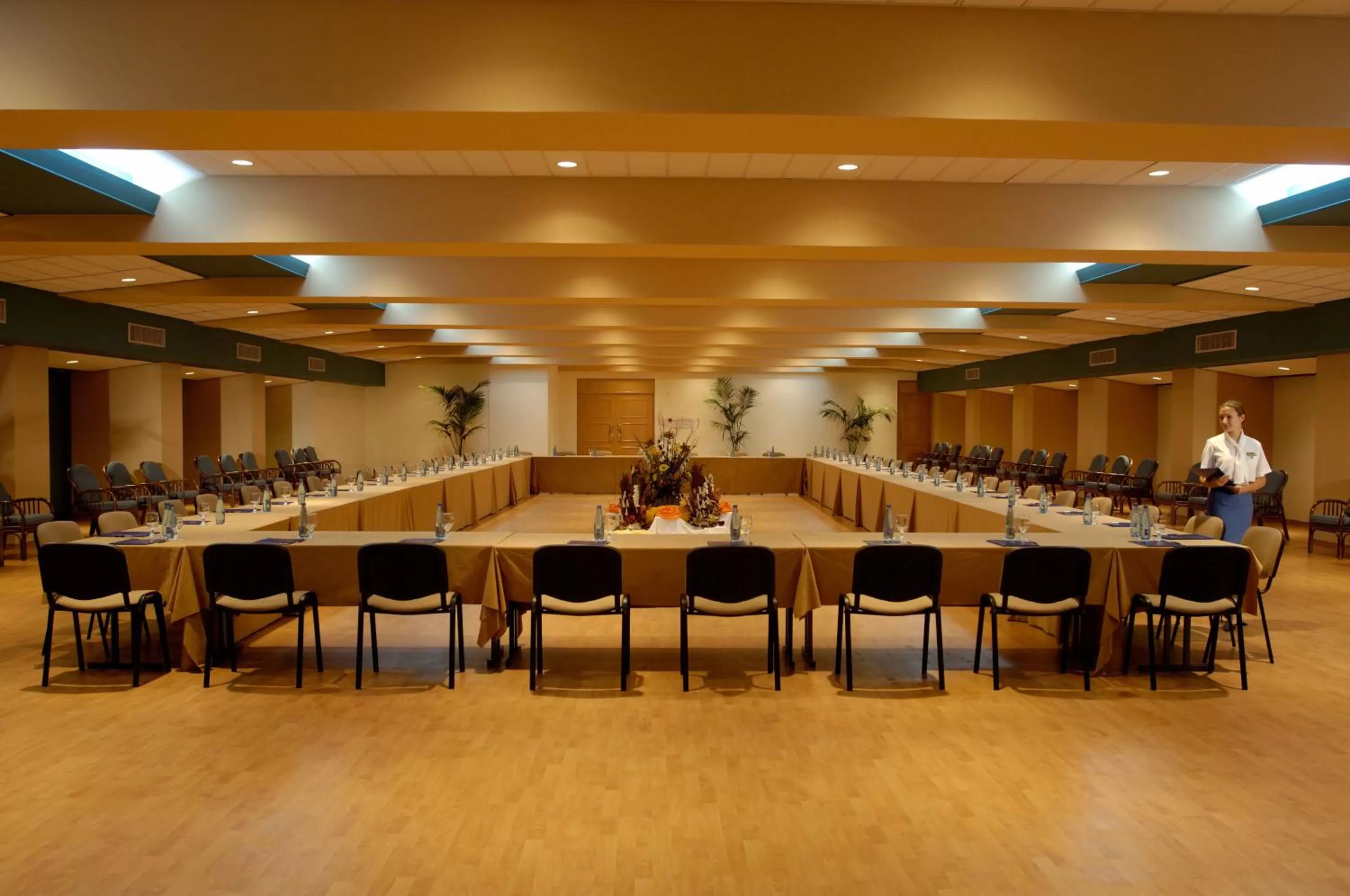 Business facilities in Constantinou Bros Athena Royal Beach Hotel