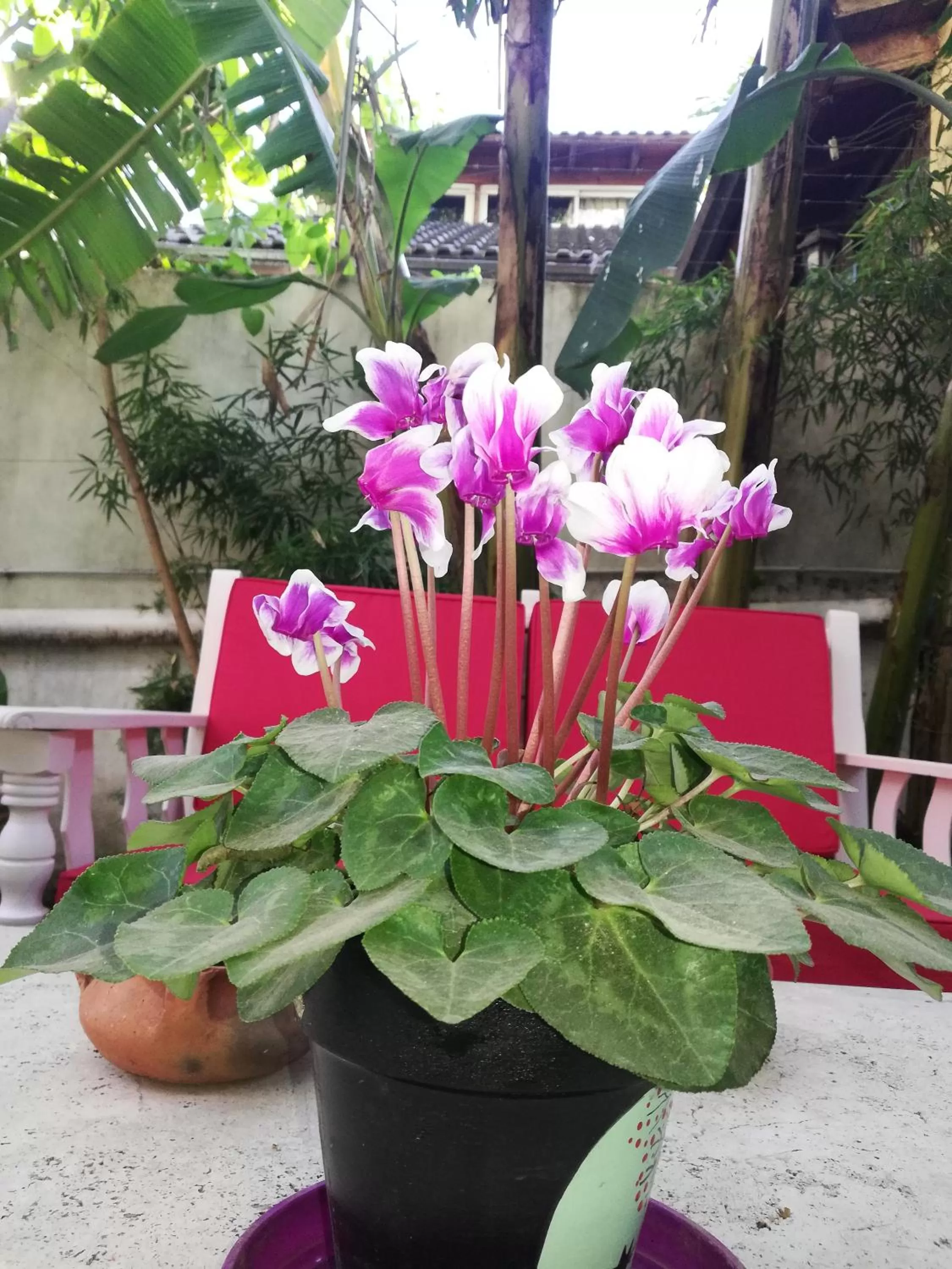 HOTEL Boutique Casablanca Adrogué