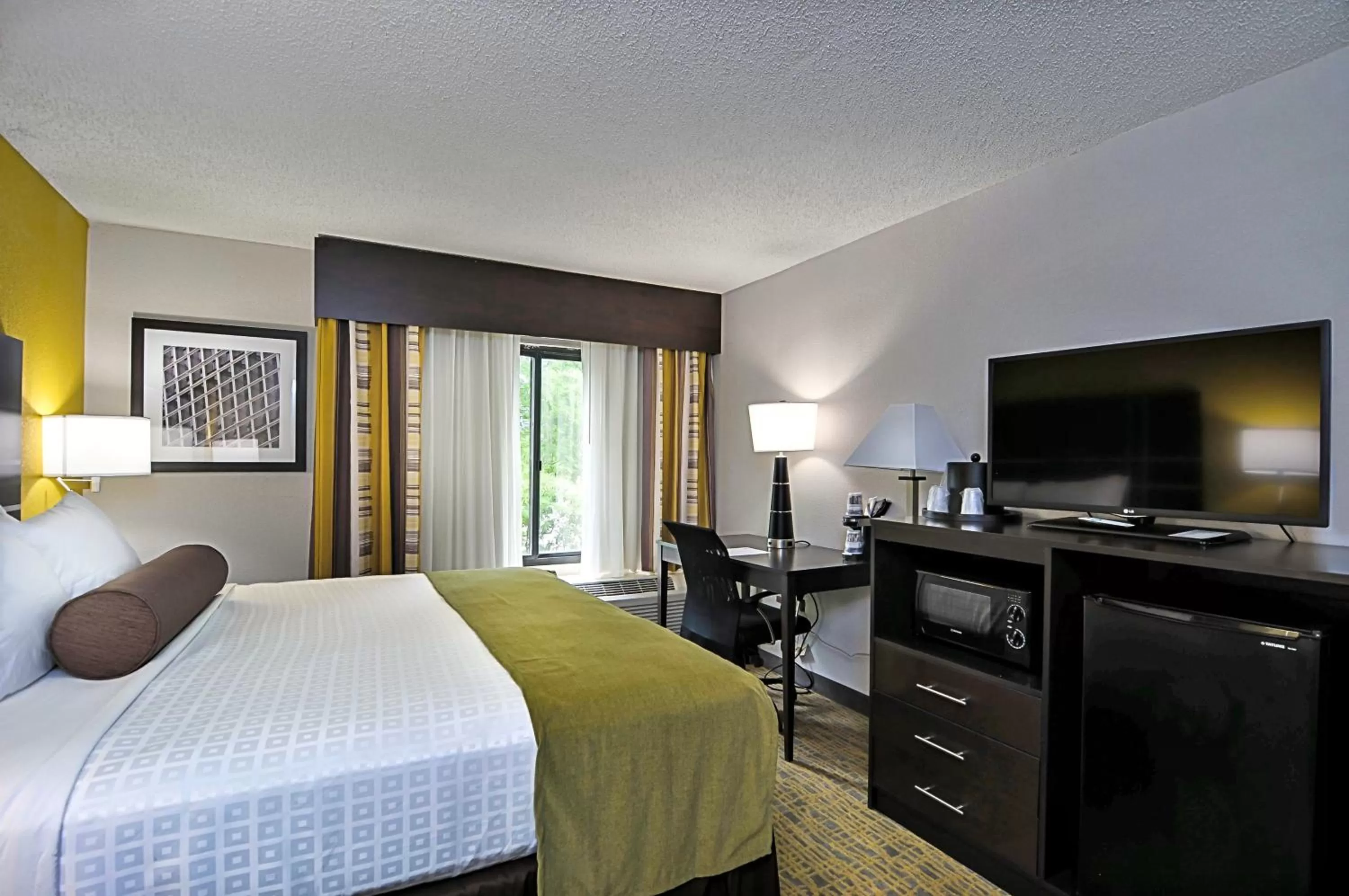 King Room with Roll-In Shower - Disability Access in Best Western Plus Hanes Mall