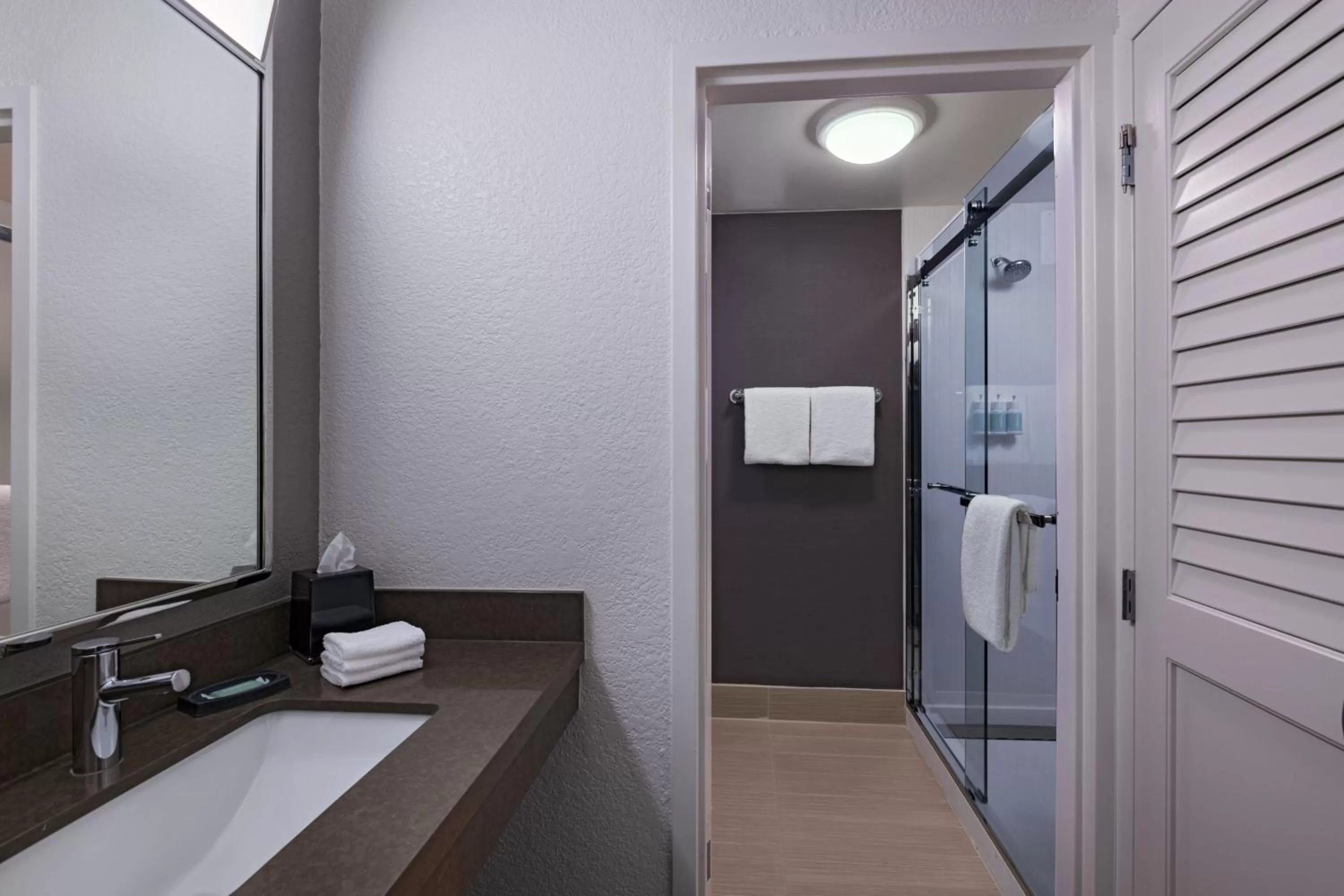 Bathroom in Courtyard Fort Worth University Drive