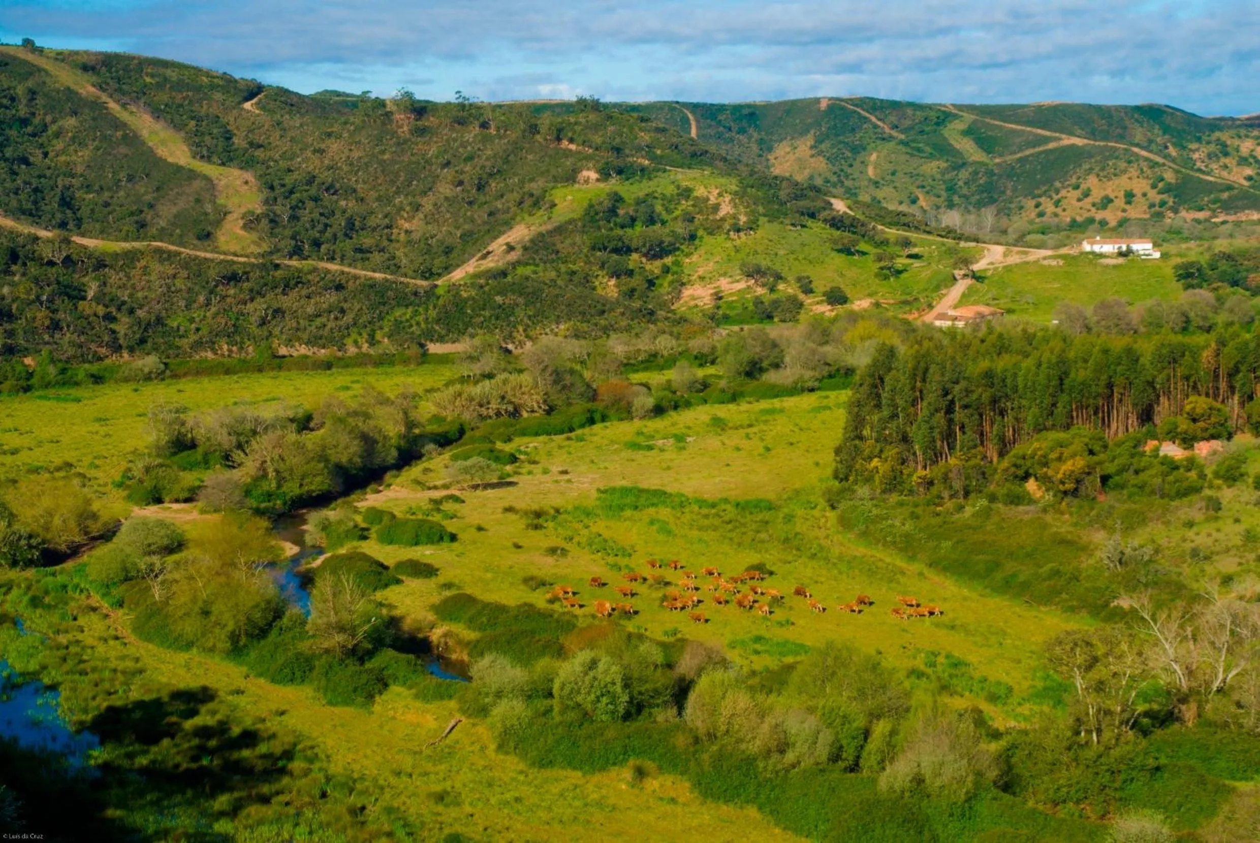 Area and facilities in Herdade Da Corte
