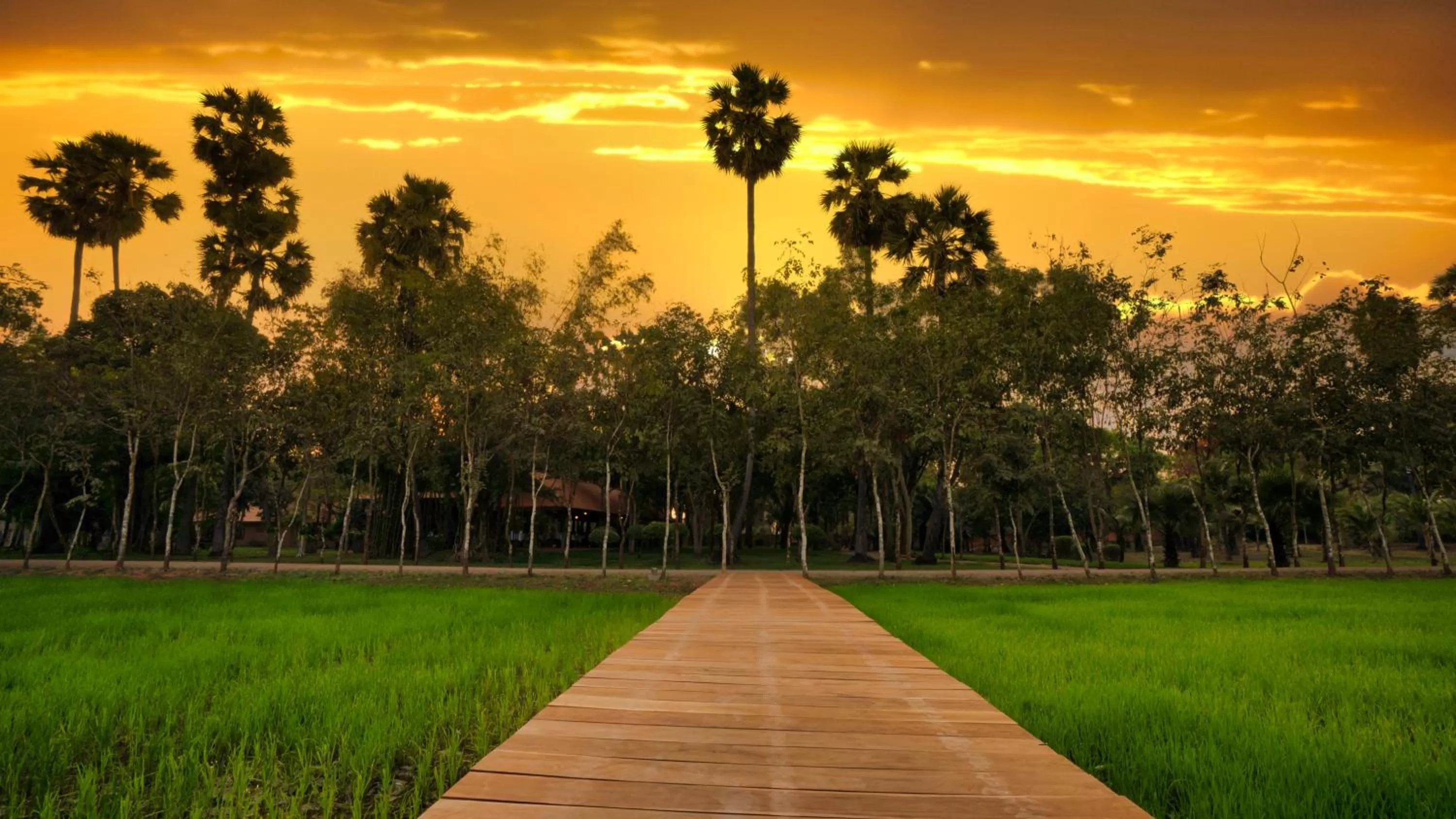 Natural landscape in Mane Family Vacation
