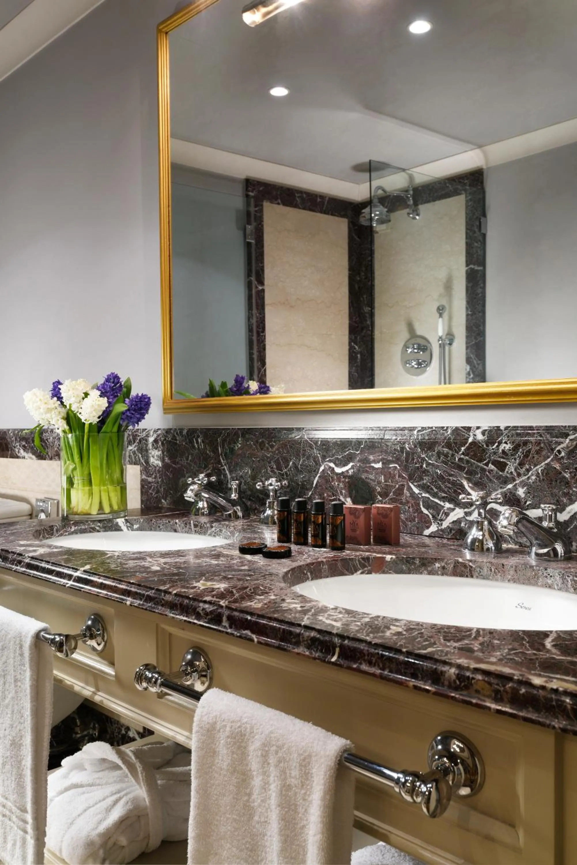 Bathroom in Al Palazzo del Marchese di Camugliano Residenza d'Epoca