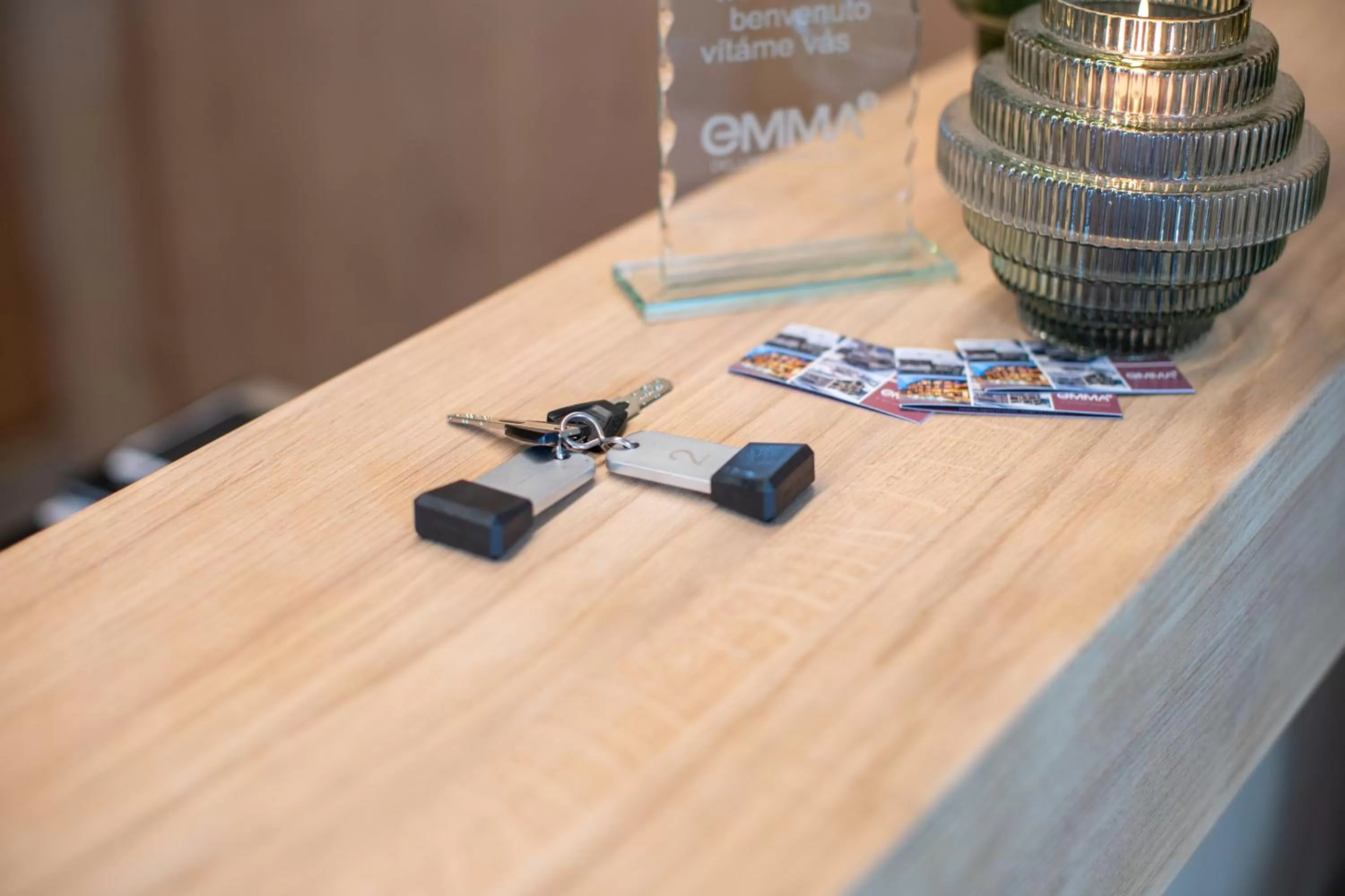 Lobby or reception in Emma Deluxe Aparthotel direkt beim Skibus