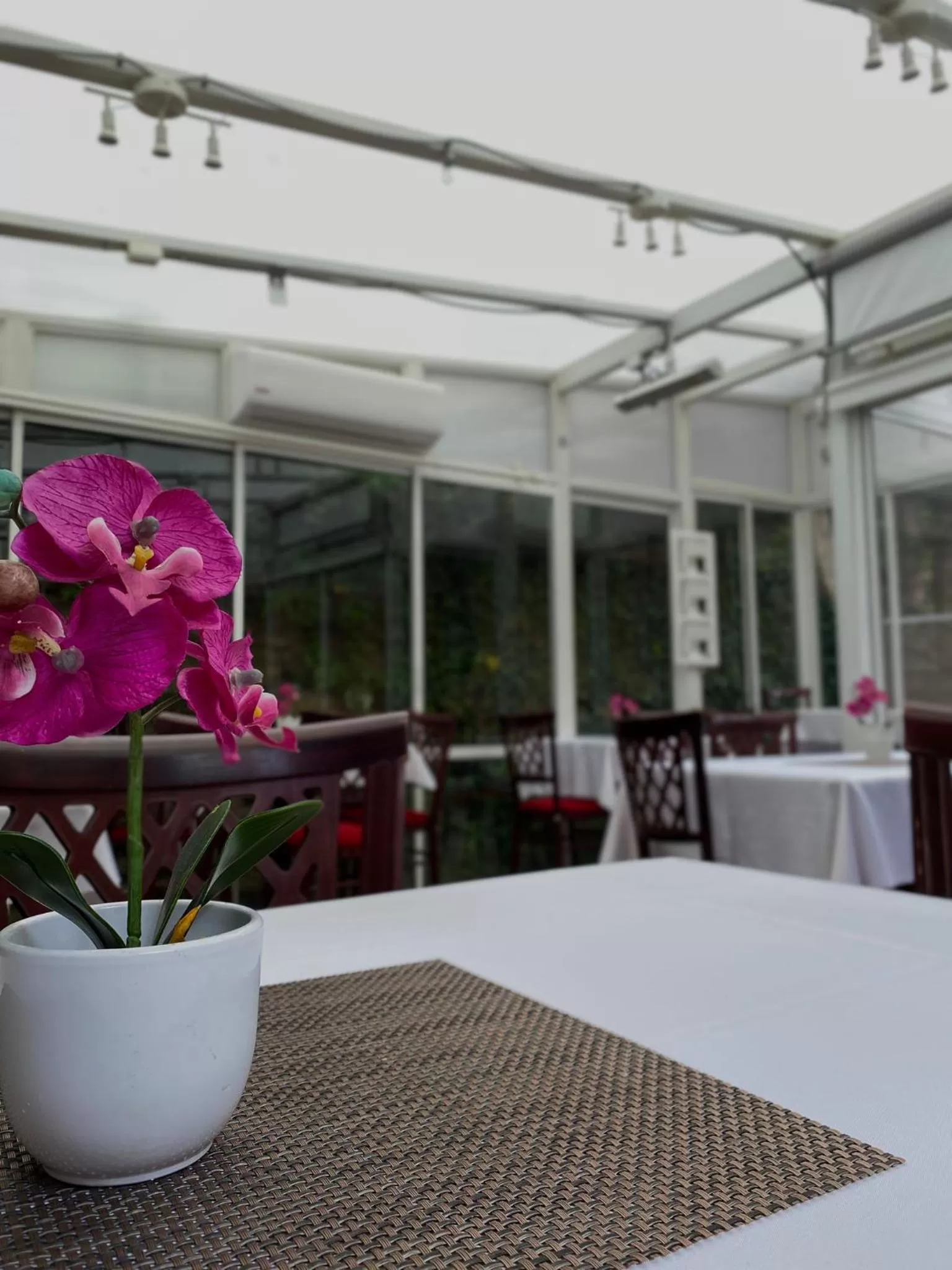 Restaurant/places to eat in Spa & Pool Apartment Hotel - Restaurant VILLA IVICA