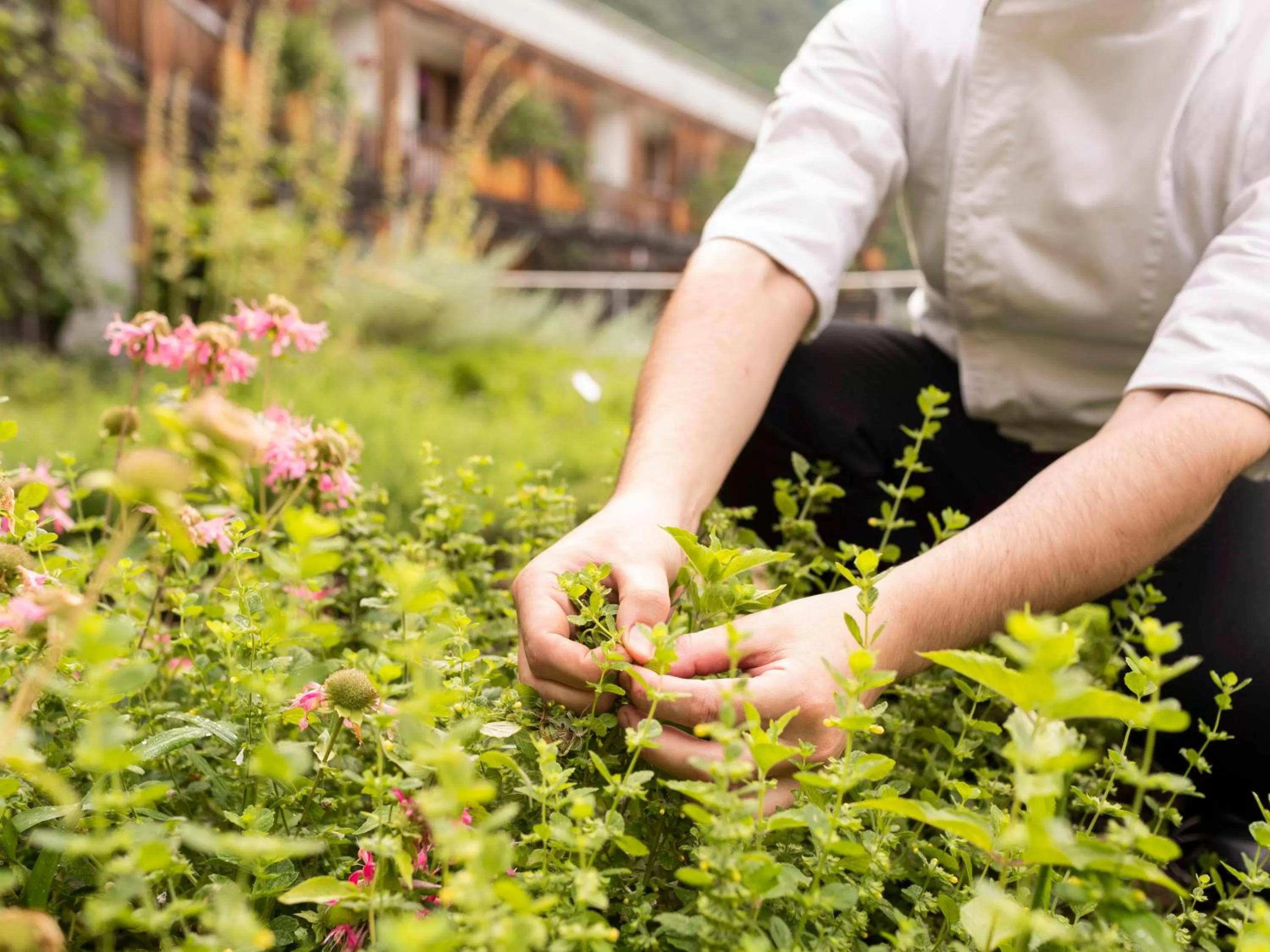People in Biohotel theiner's garten