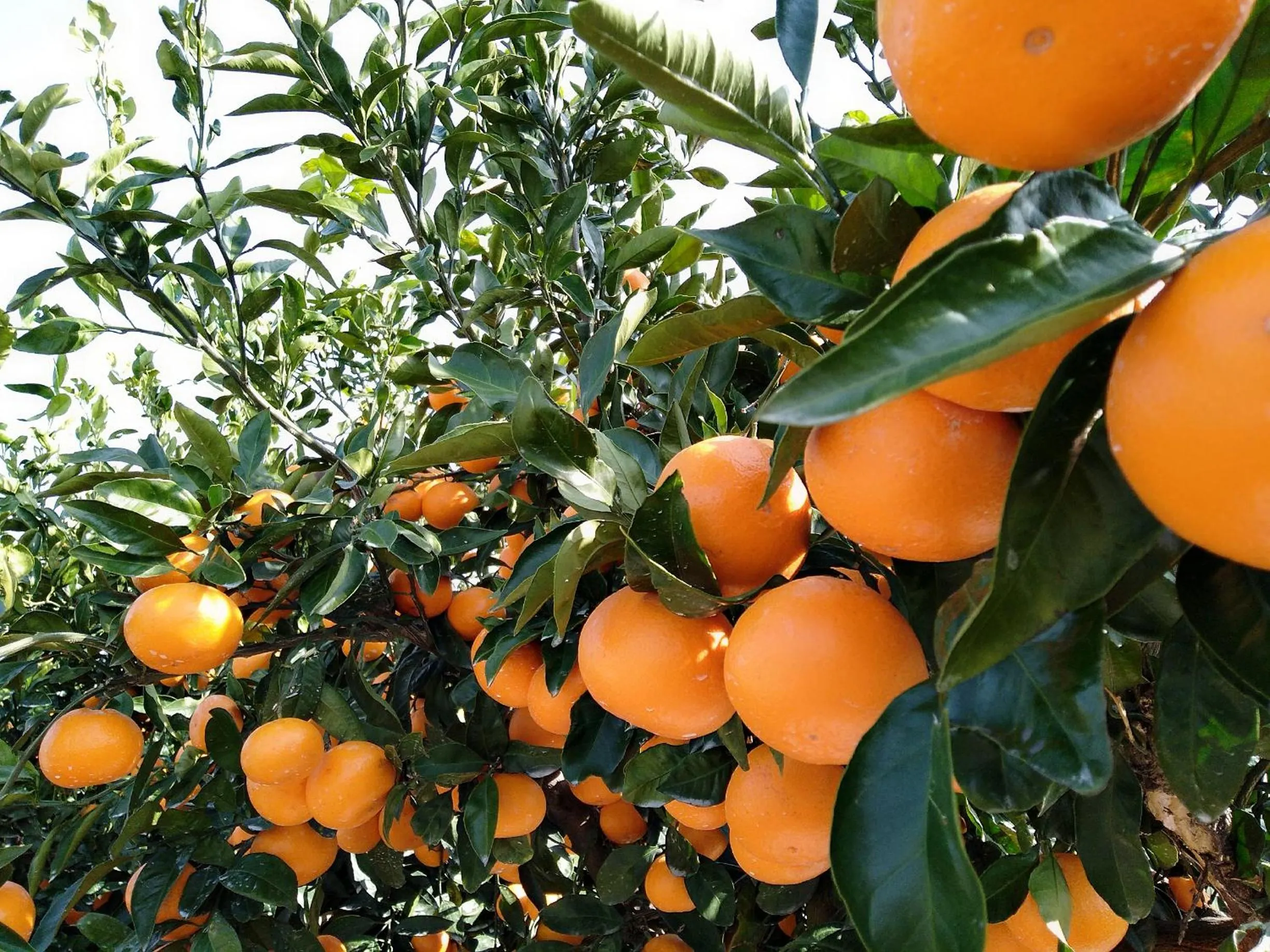 Day in Slow Citi Guest House -슬로시티게스트하우스