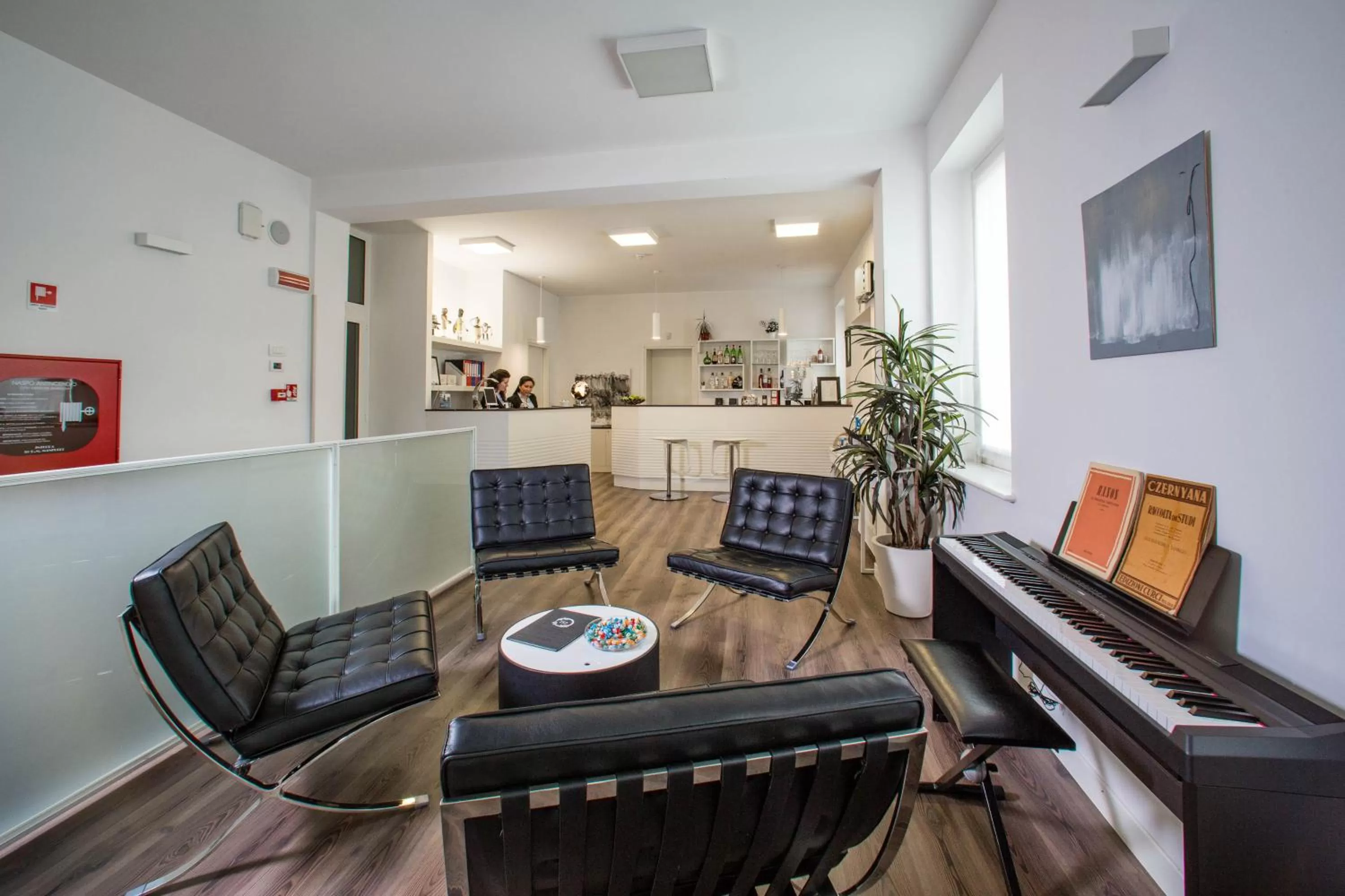 Communal lounge/ TV room in Hotel Forlanini 52