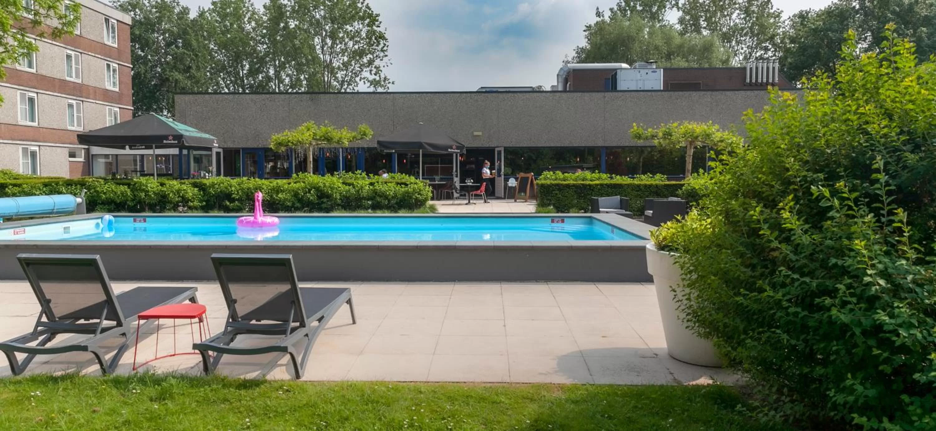 Swimming pool in Novotel Rotterdam - Schiedam