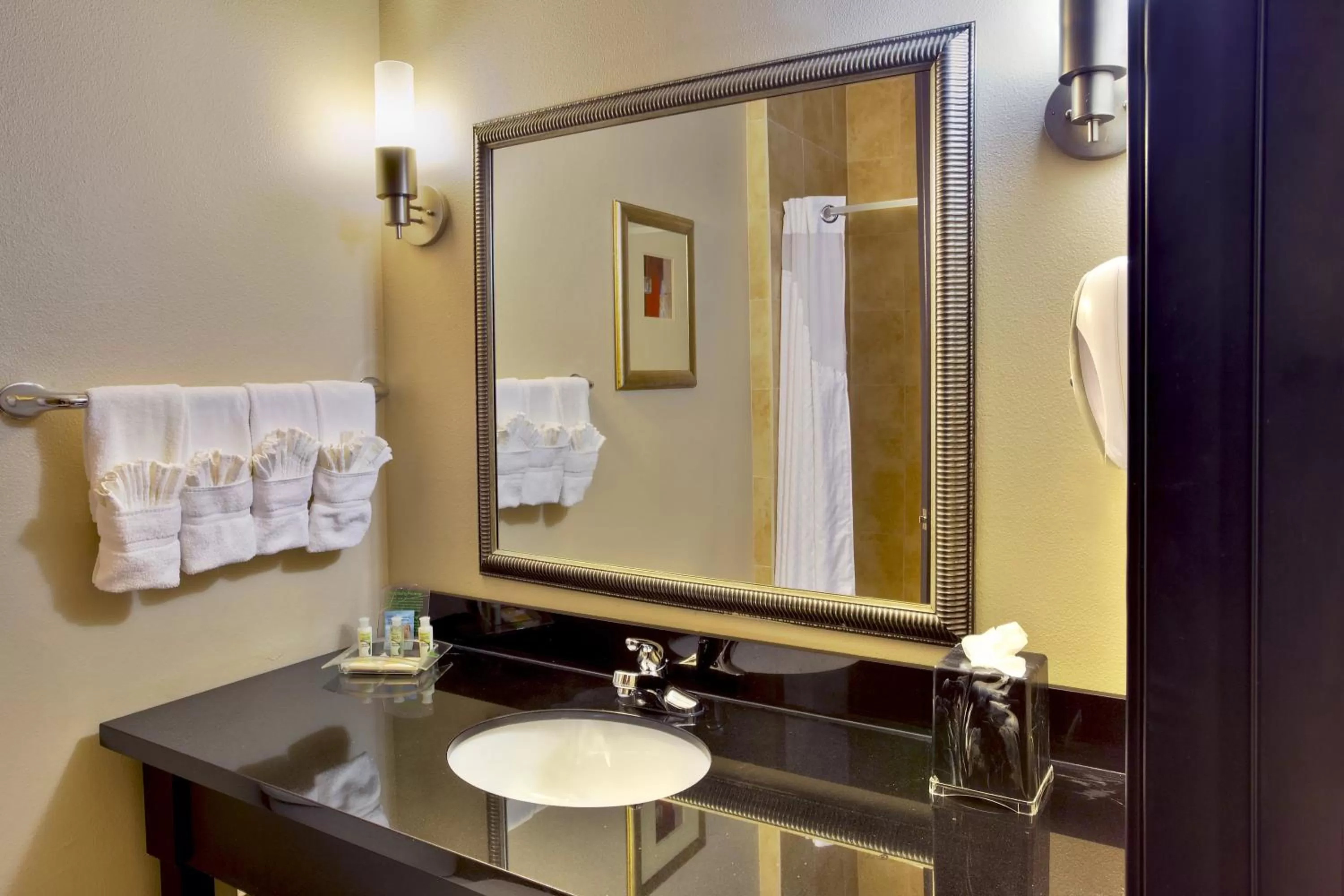 Bathroom in Holiday Inn Killeen - Fort Hood Area by IHG