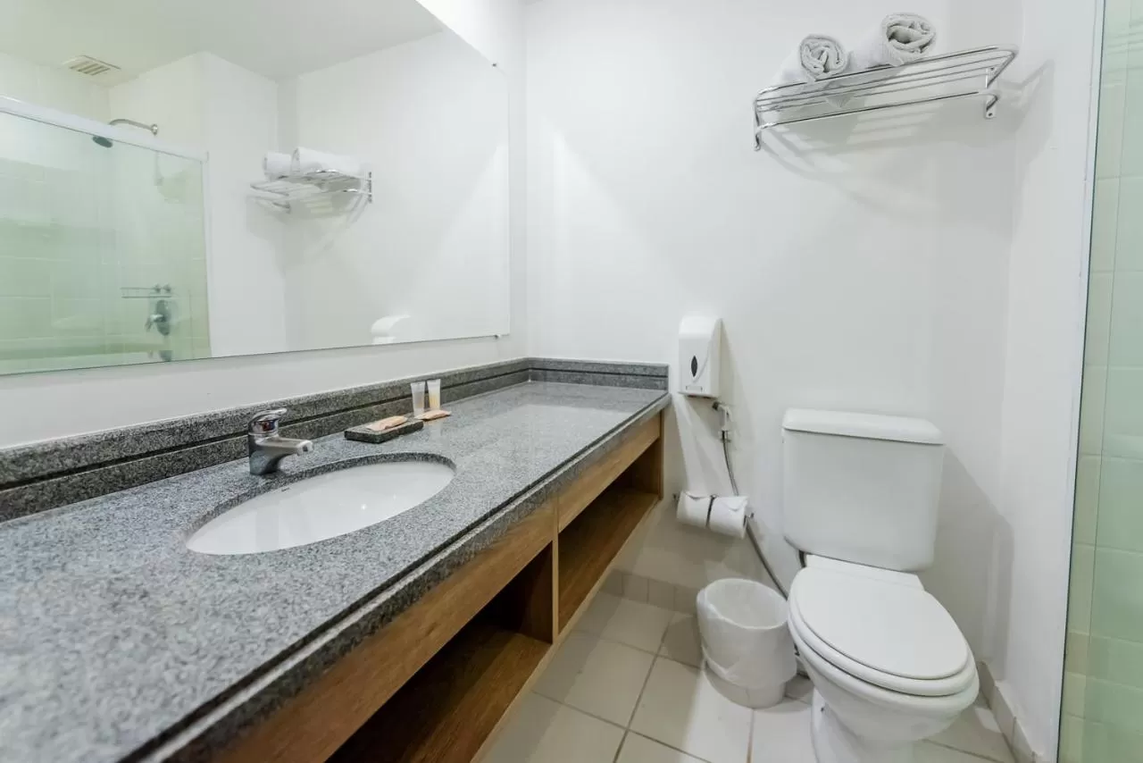 Ibis Styles Campinas Alphaville