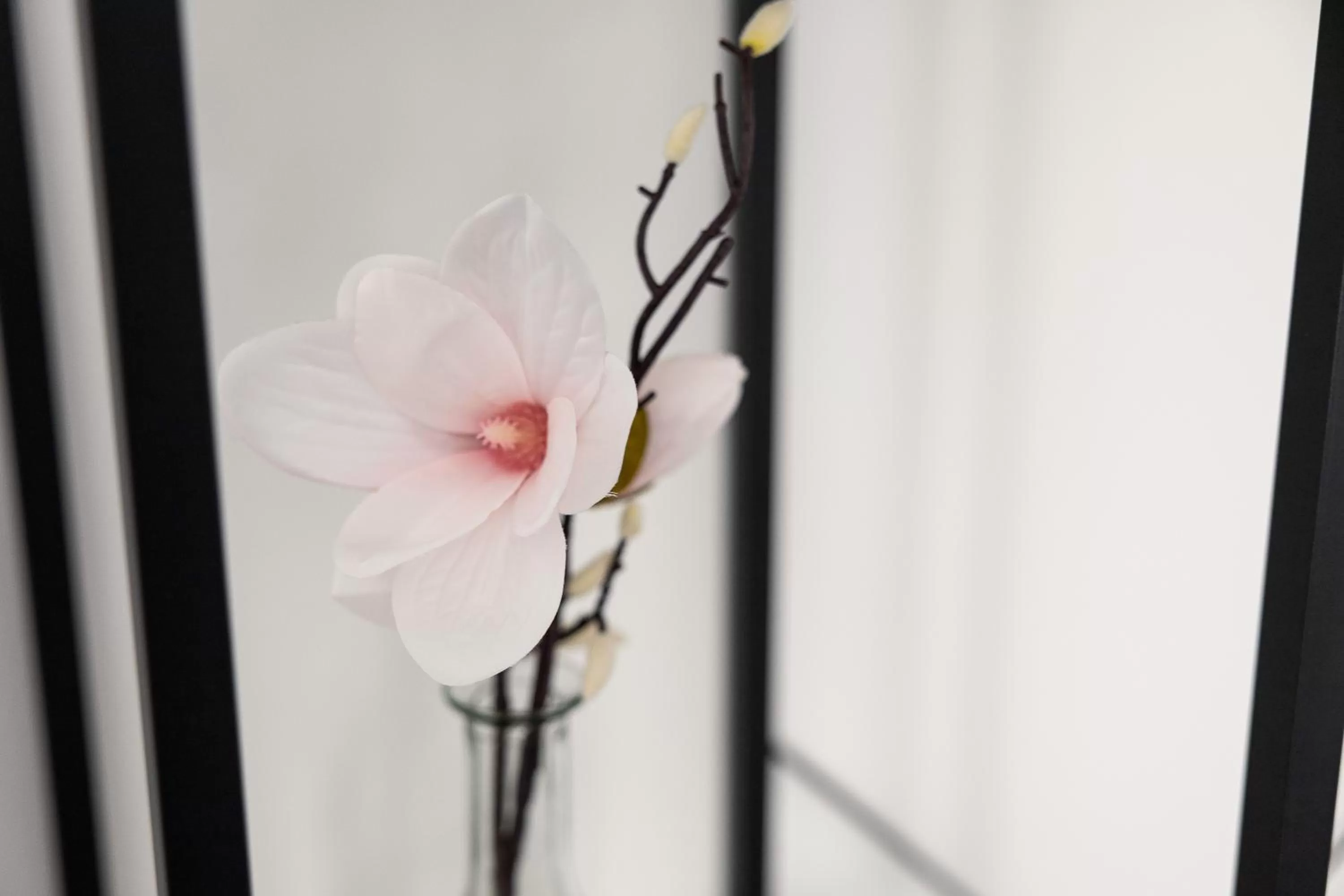 Decorative detail in Apartments am Neuen Theater - Altstadt - Zentral - Küche - Wifi - Powered by Ko-Living