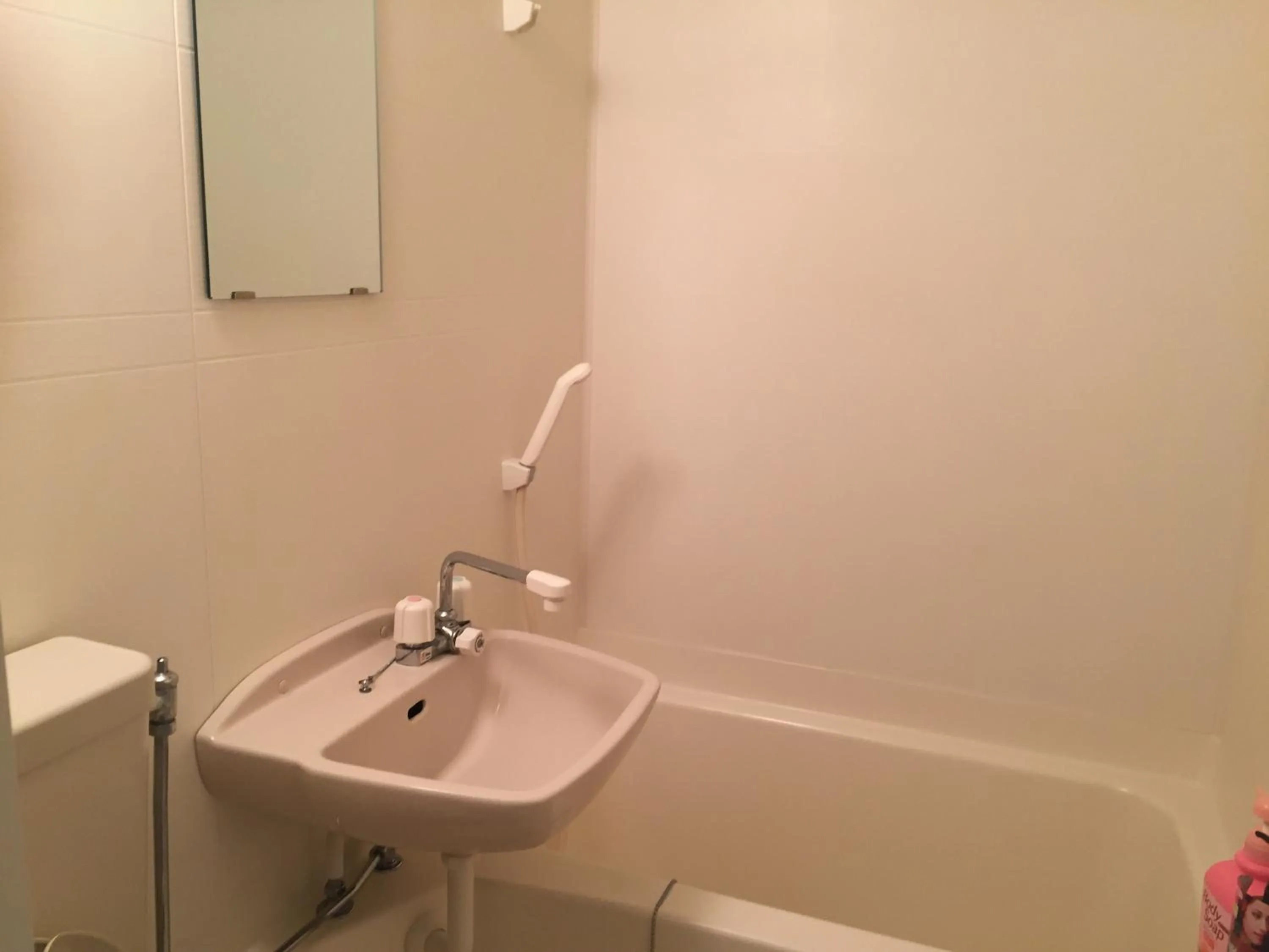 Shower in Sophiearth Apartment