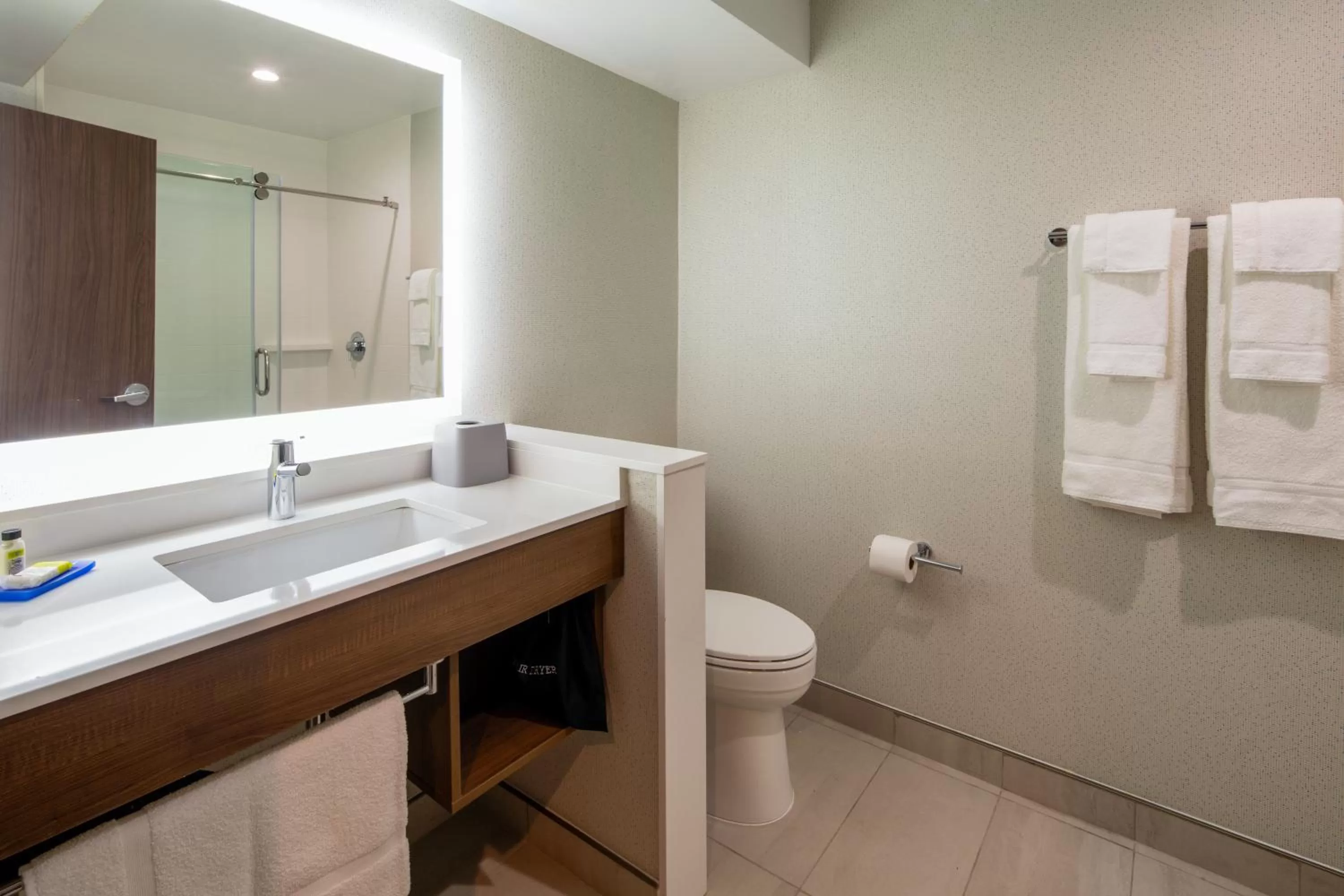 Bathroom in Holiday Inn Express & Suites Chatsworth by IHG