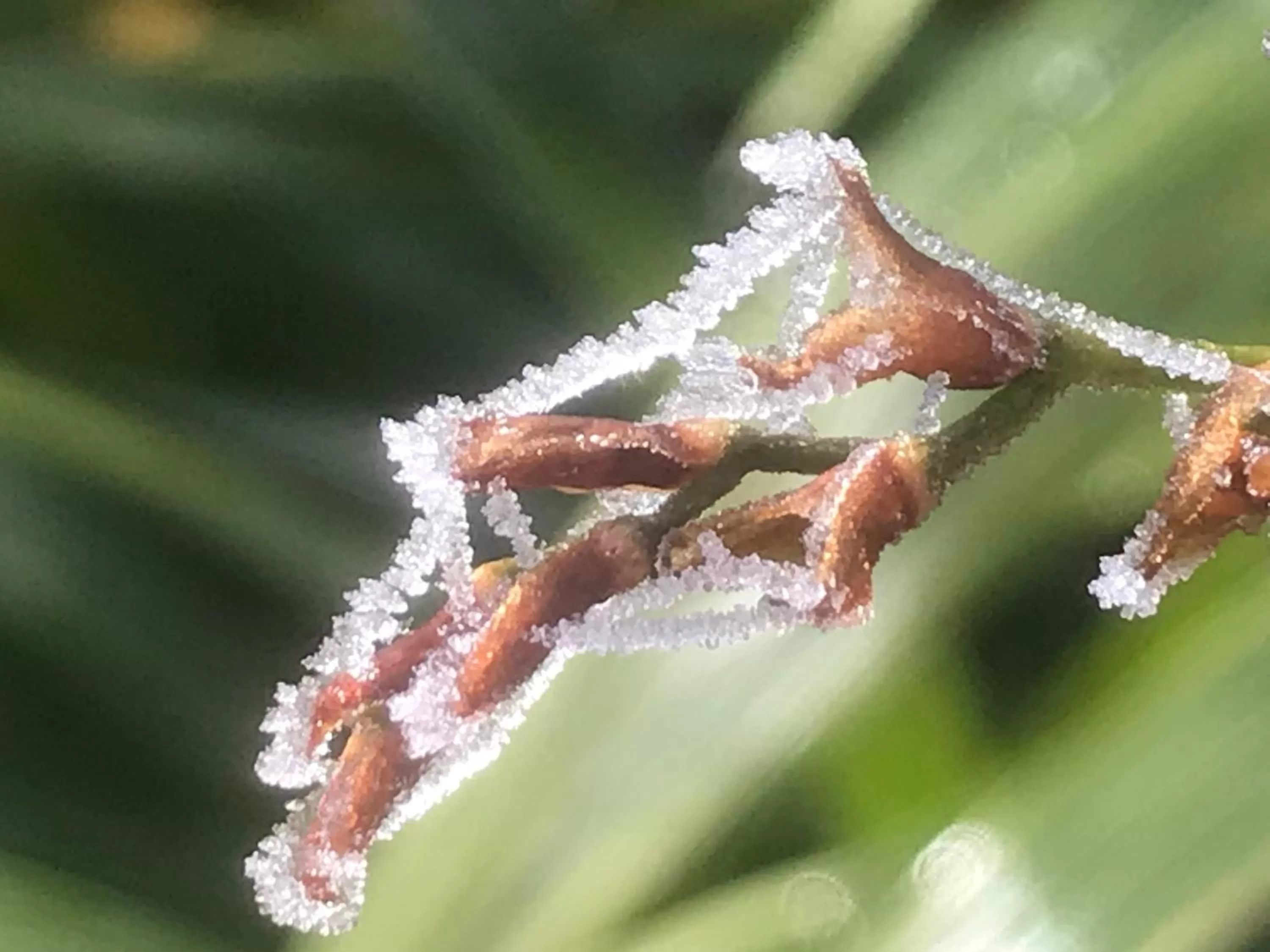 Winter in Bed and Breakfast Bavaria München