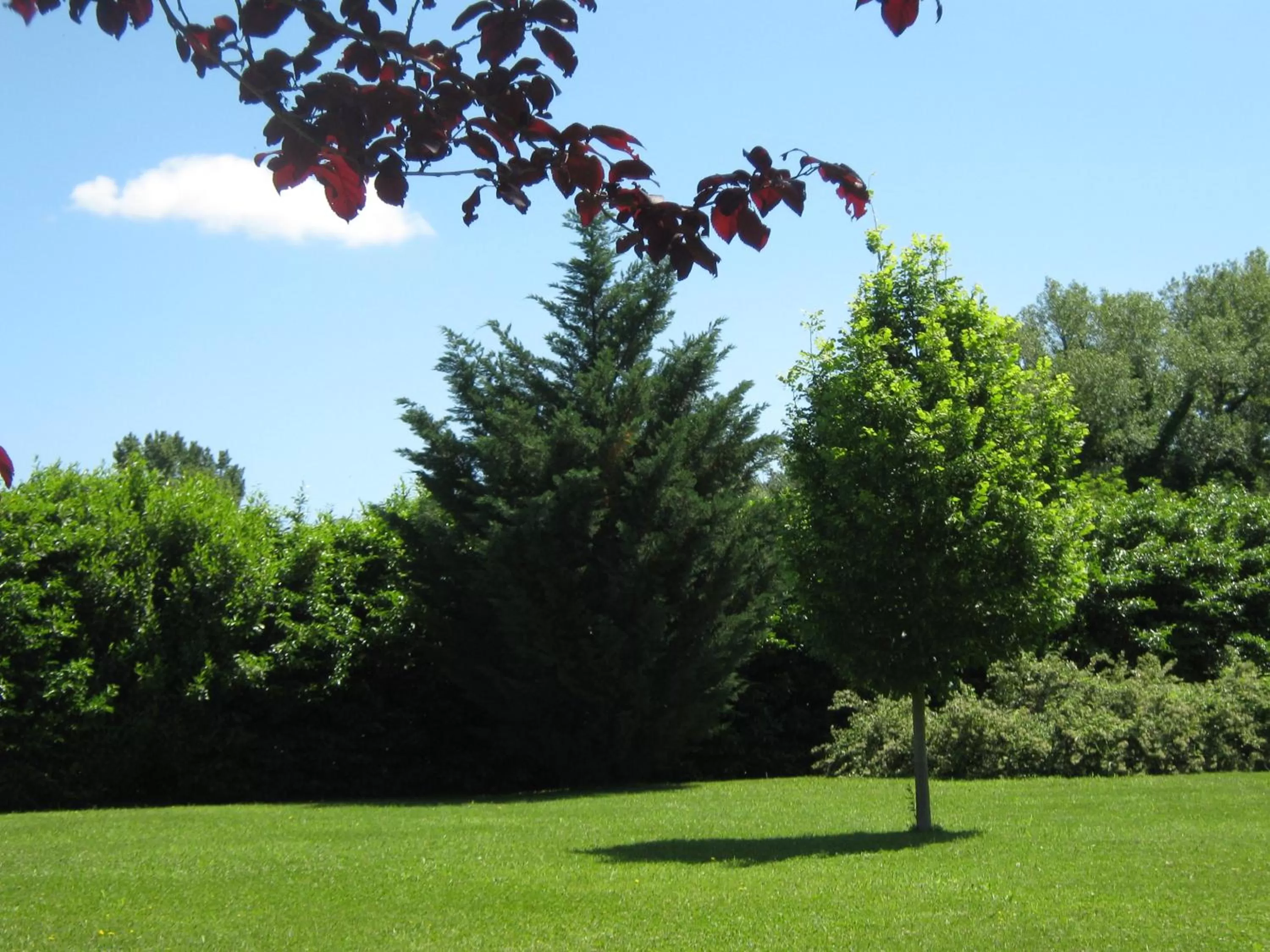 Garden view, Garden in B & B OASI