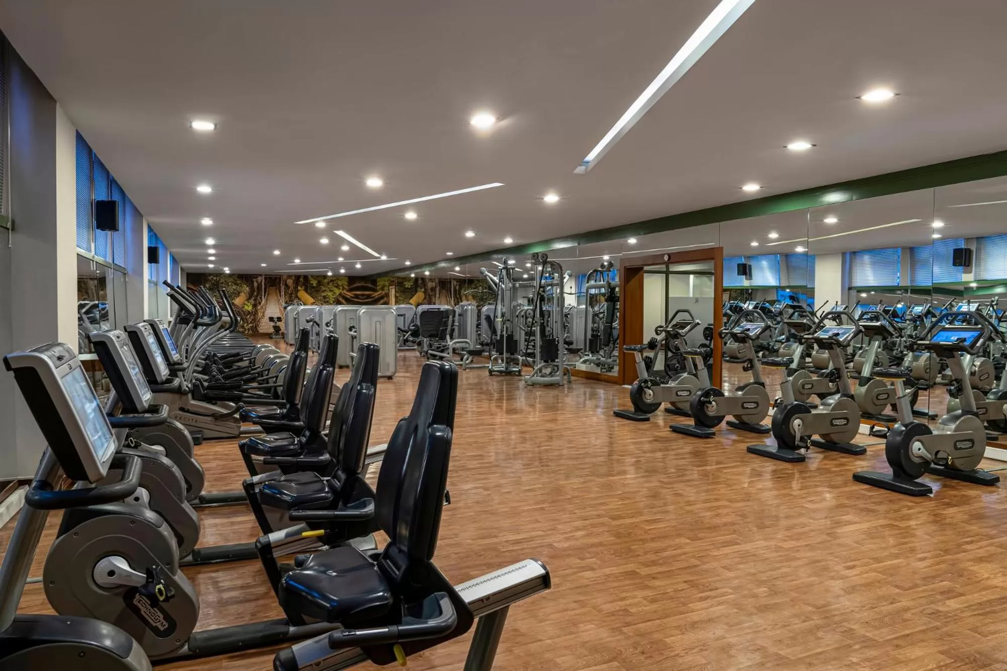 Fitness centre/facilities in Kaya Izmir Thermal & Convention