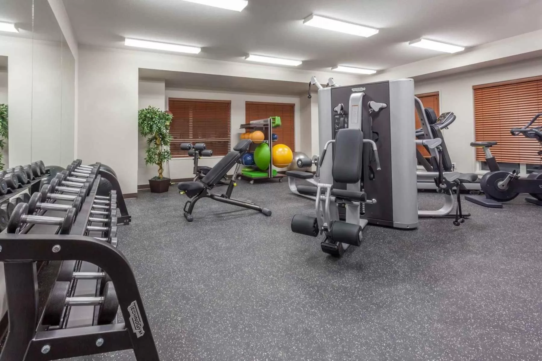 Fitness centre/facilities in Microtel Inn & Suites by Wyndham Fort McMurray