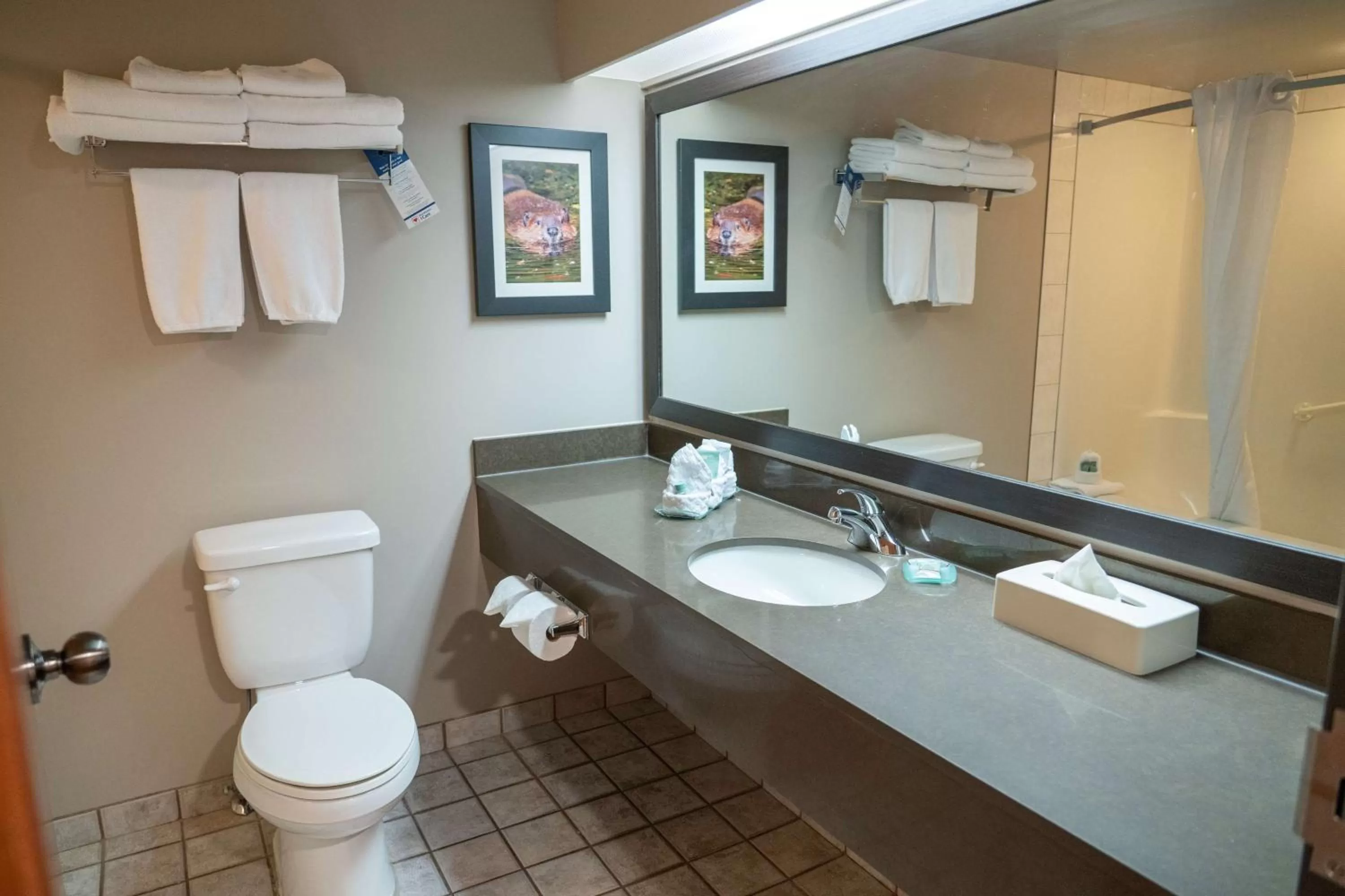 Bathroom in Pocaterra Inn & Waterslide