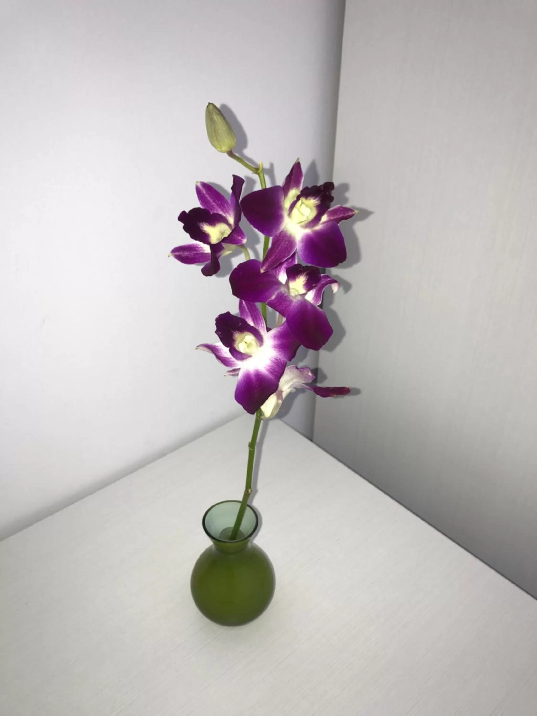 Breakfast in Escape to St Julians