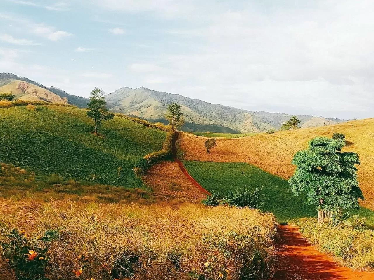 Natural landscape in Pleiku & Em Hotel by Gia Lai Tourist