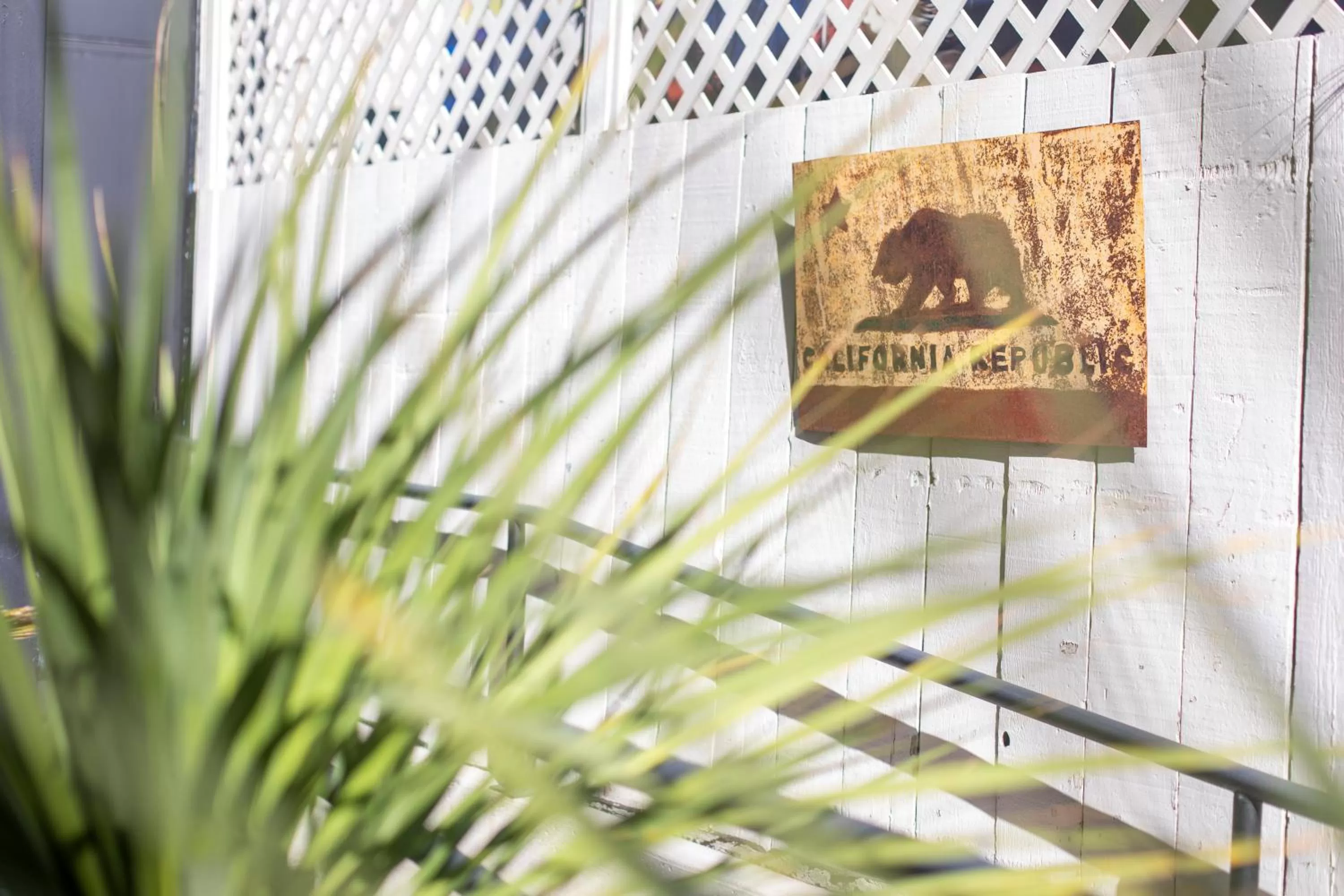 Garden in 1906 Mission