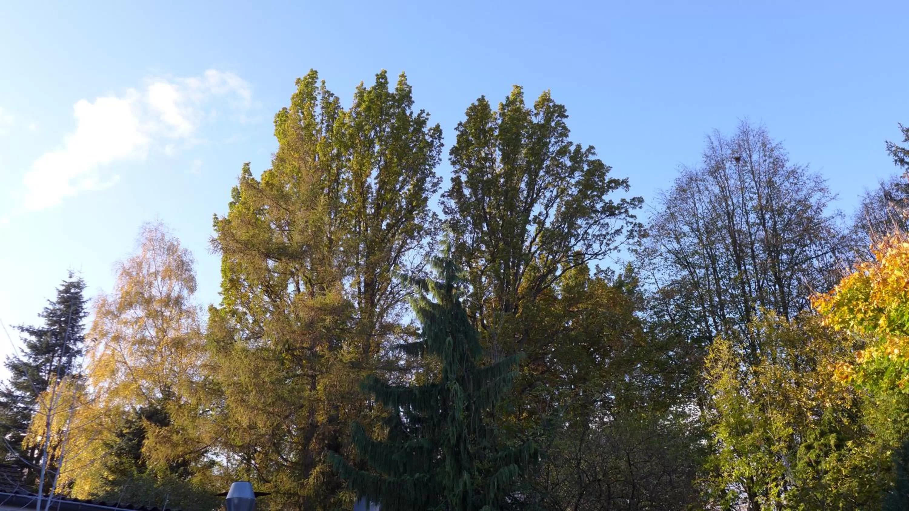 Natural landscape in Hotel Heidpark