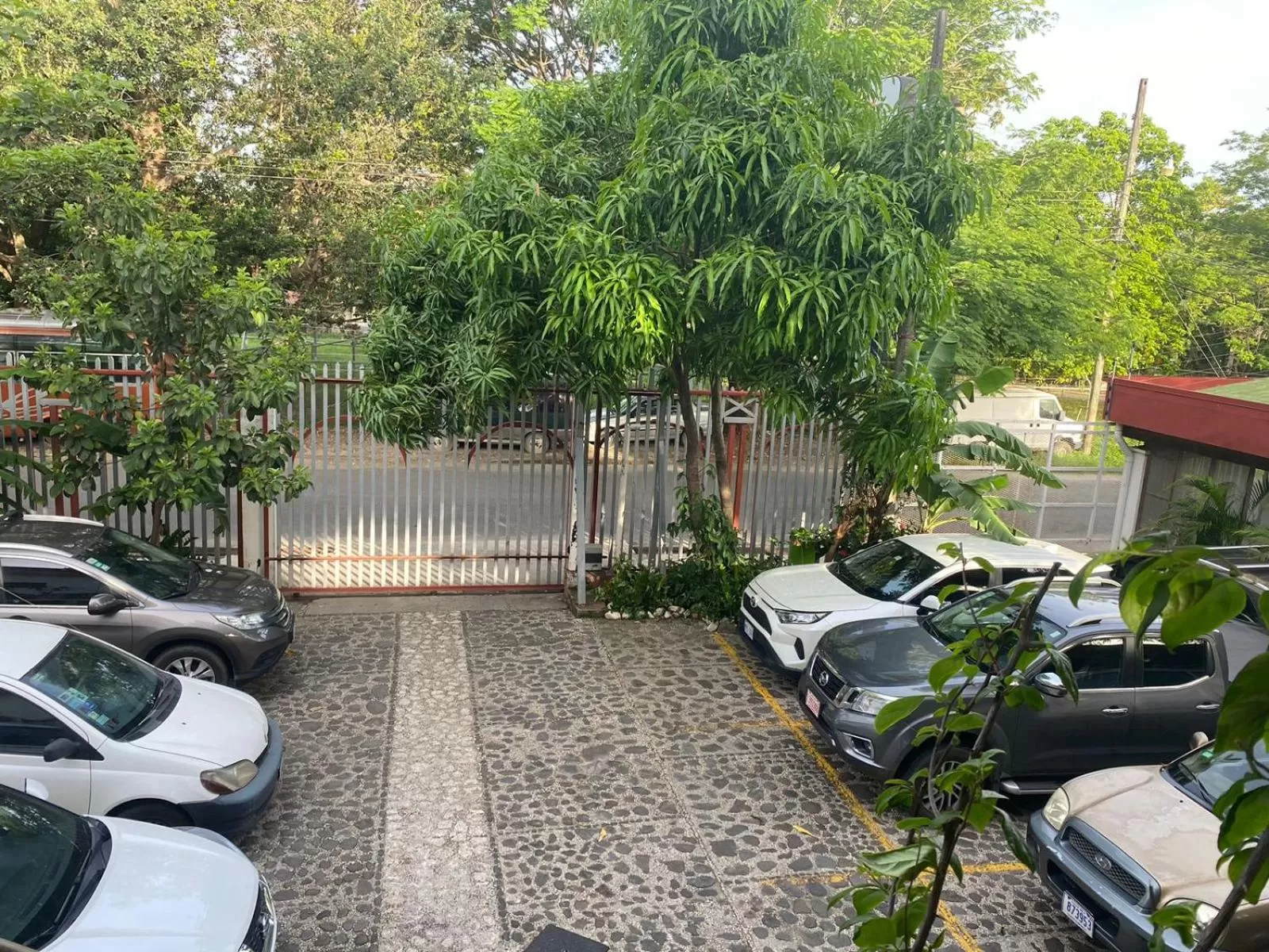 Garden view in Hotel Javy