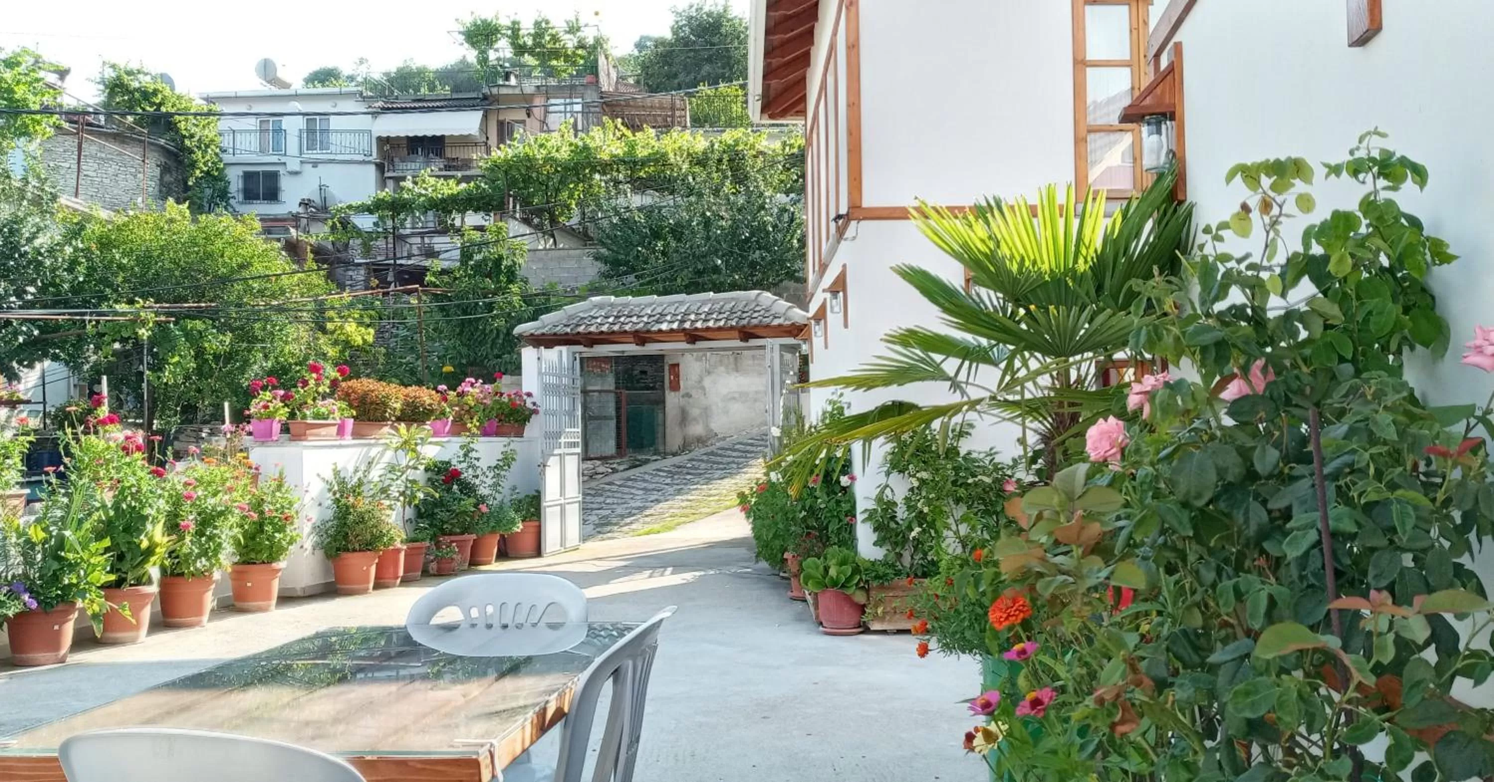 Hotel Bebej Tradicional