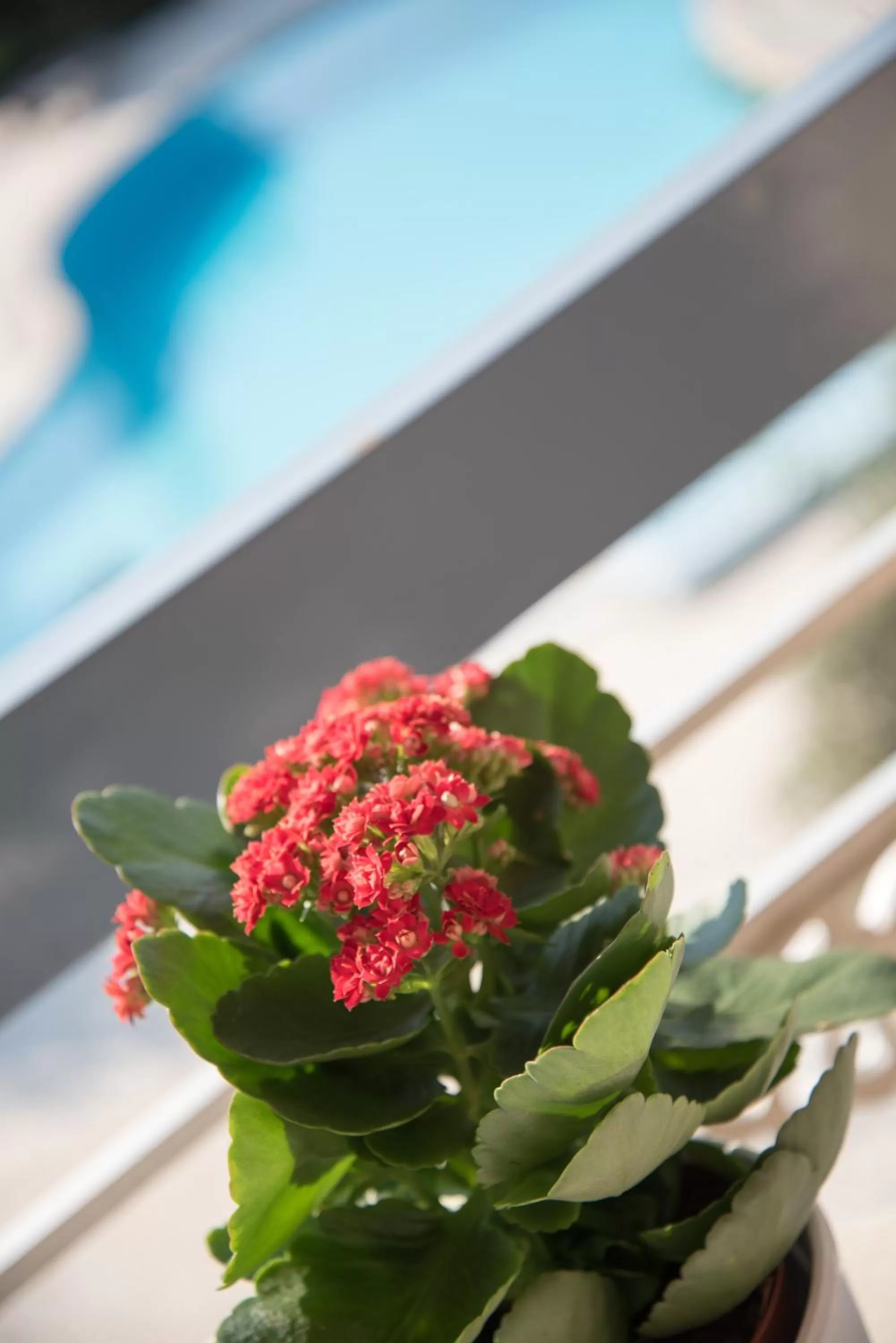 Acharnis Kavallari Hotel Suites