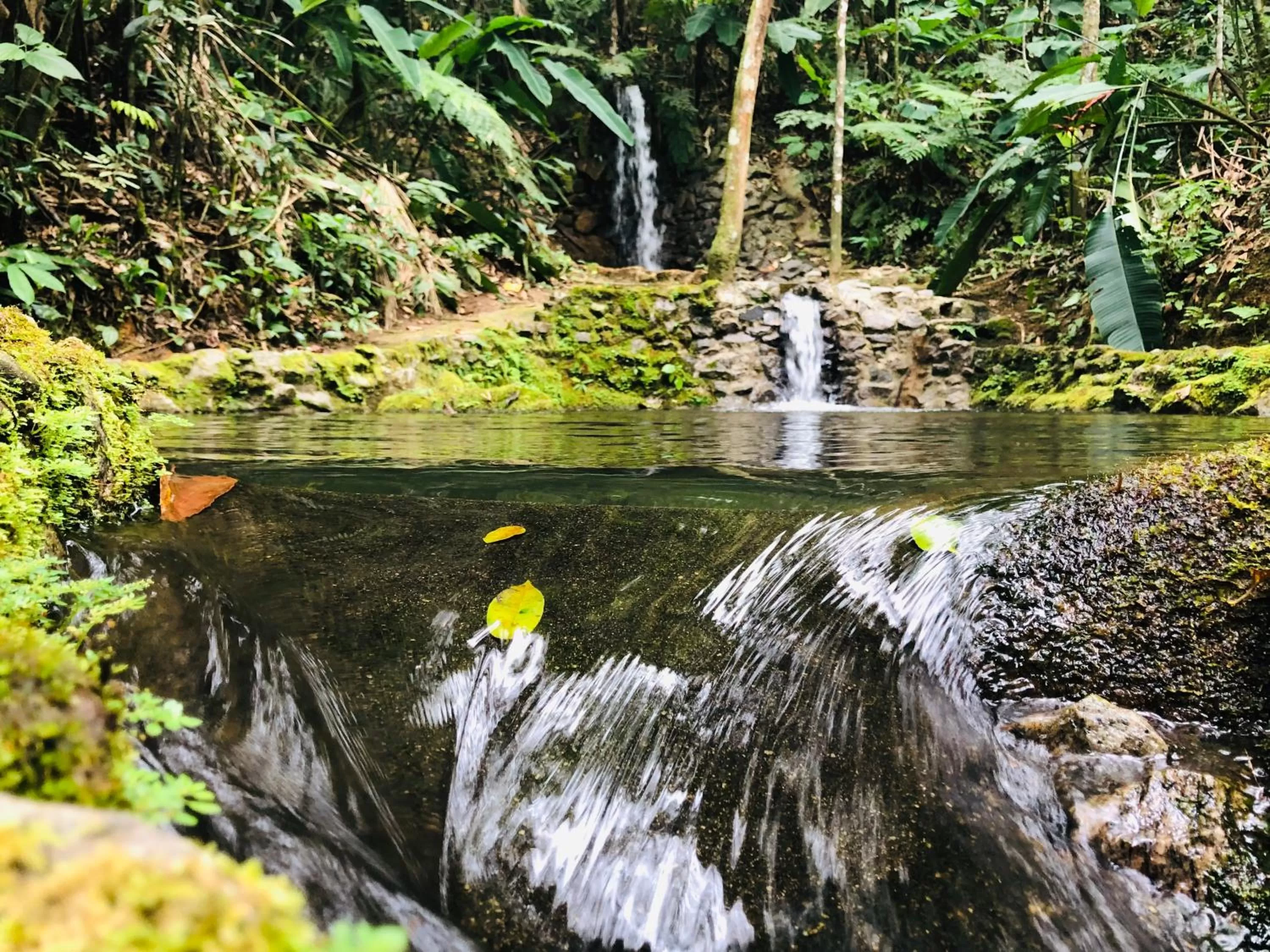 Activities in Hotel Bosques do Massaguaçu