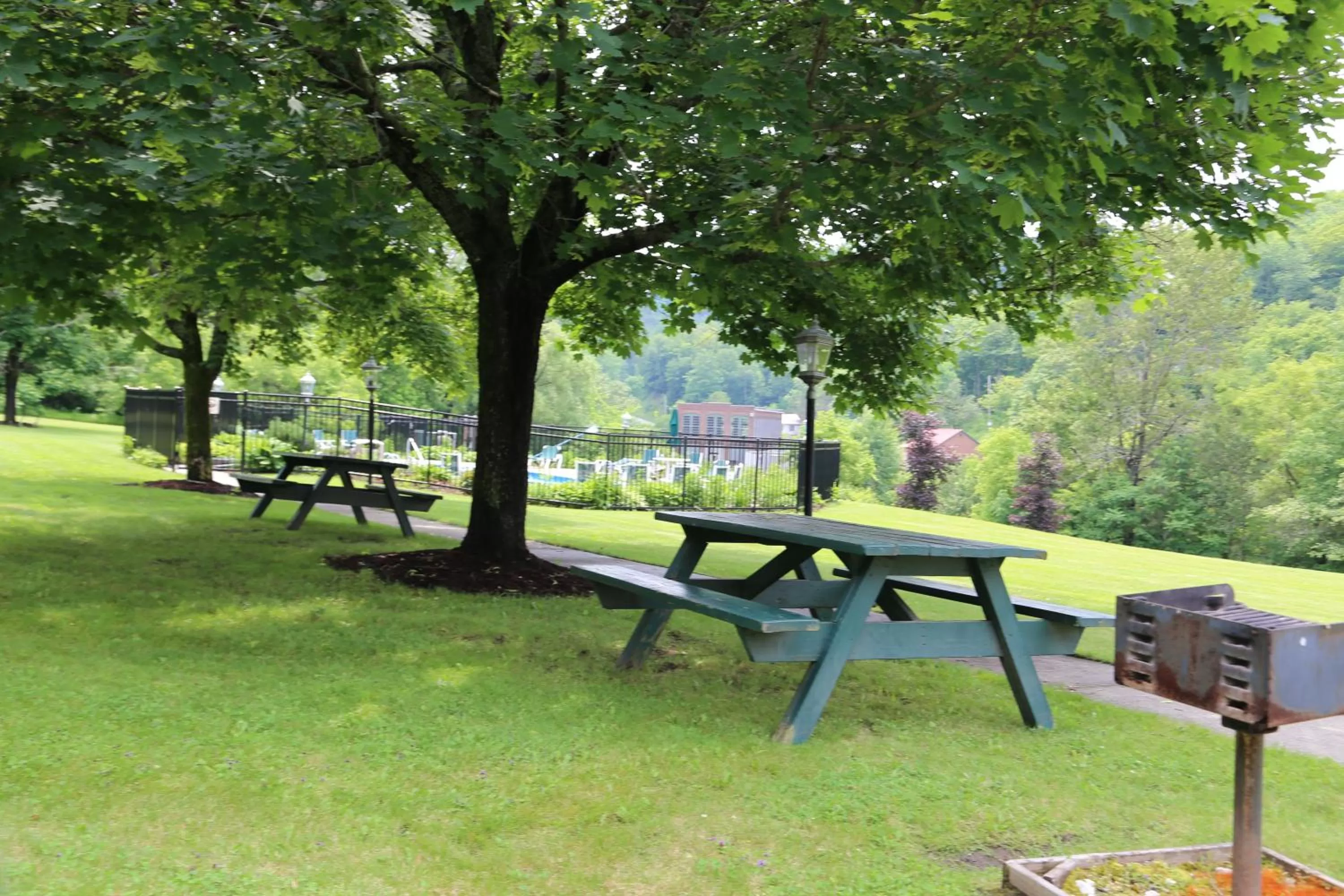 Activities in Fairbanks Inn