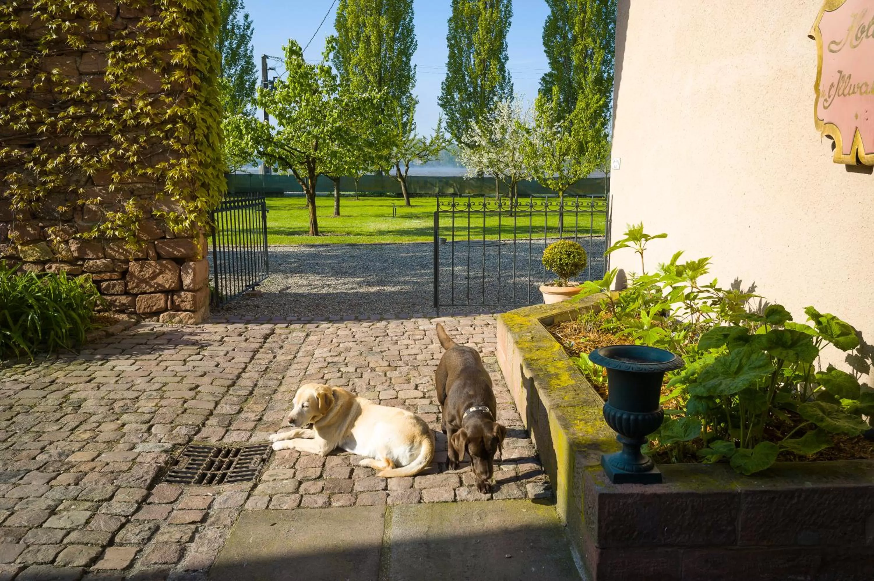 Pets in Hotel Restaurant De l'Illwald