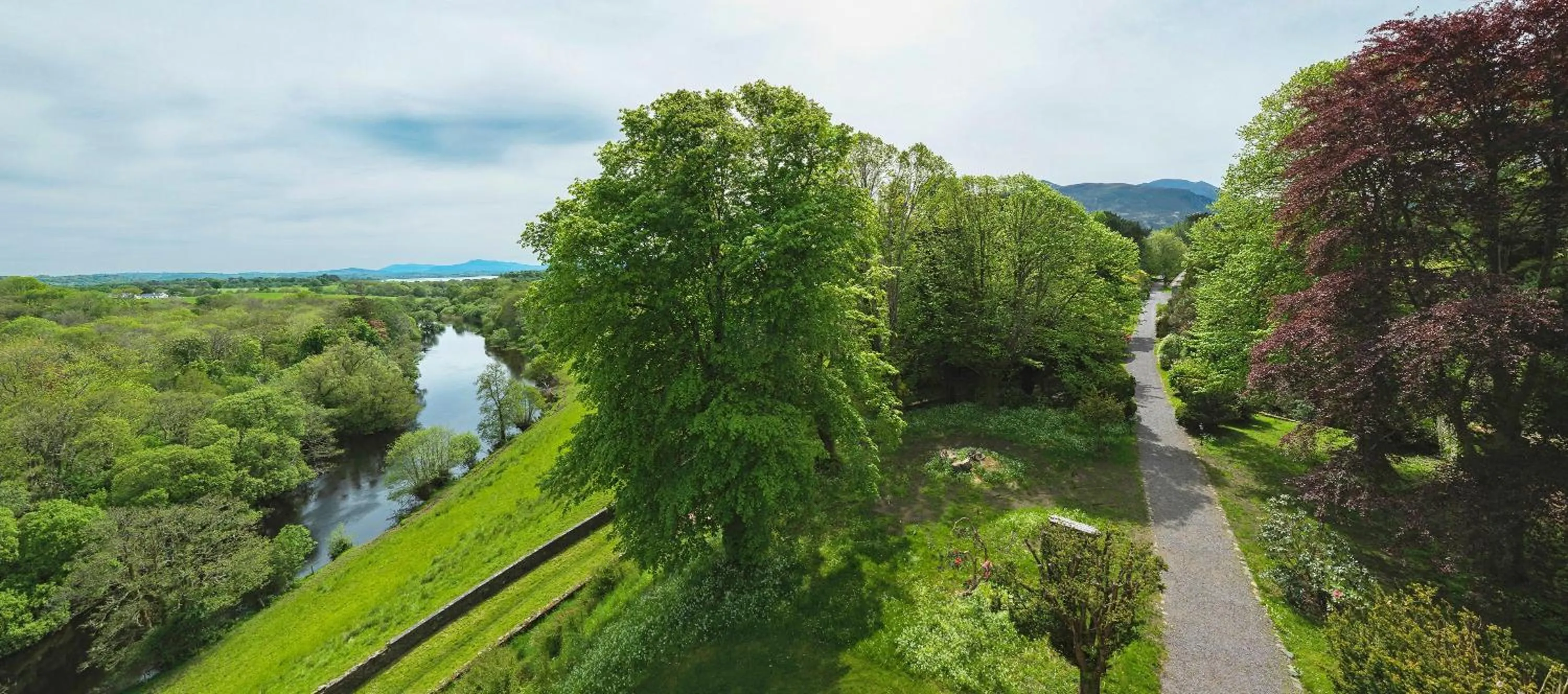 Garden view in The Dunloe Hotel & Gardens