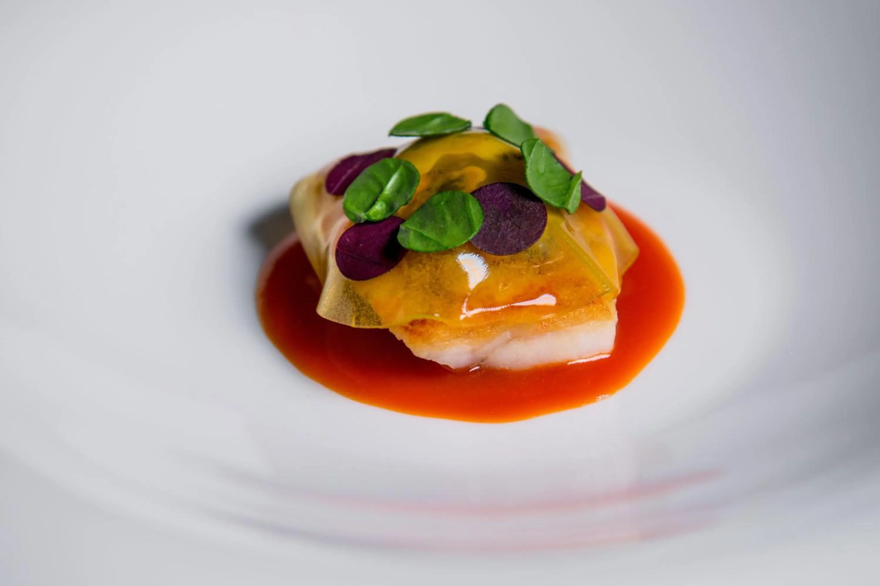 Kitchen or kitchenette in Sheraton Lake Como Hotel