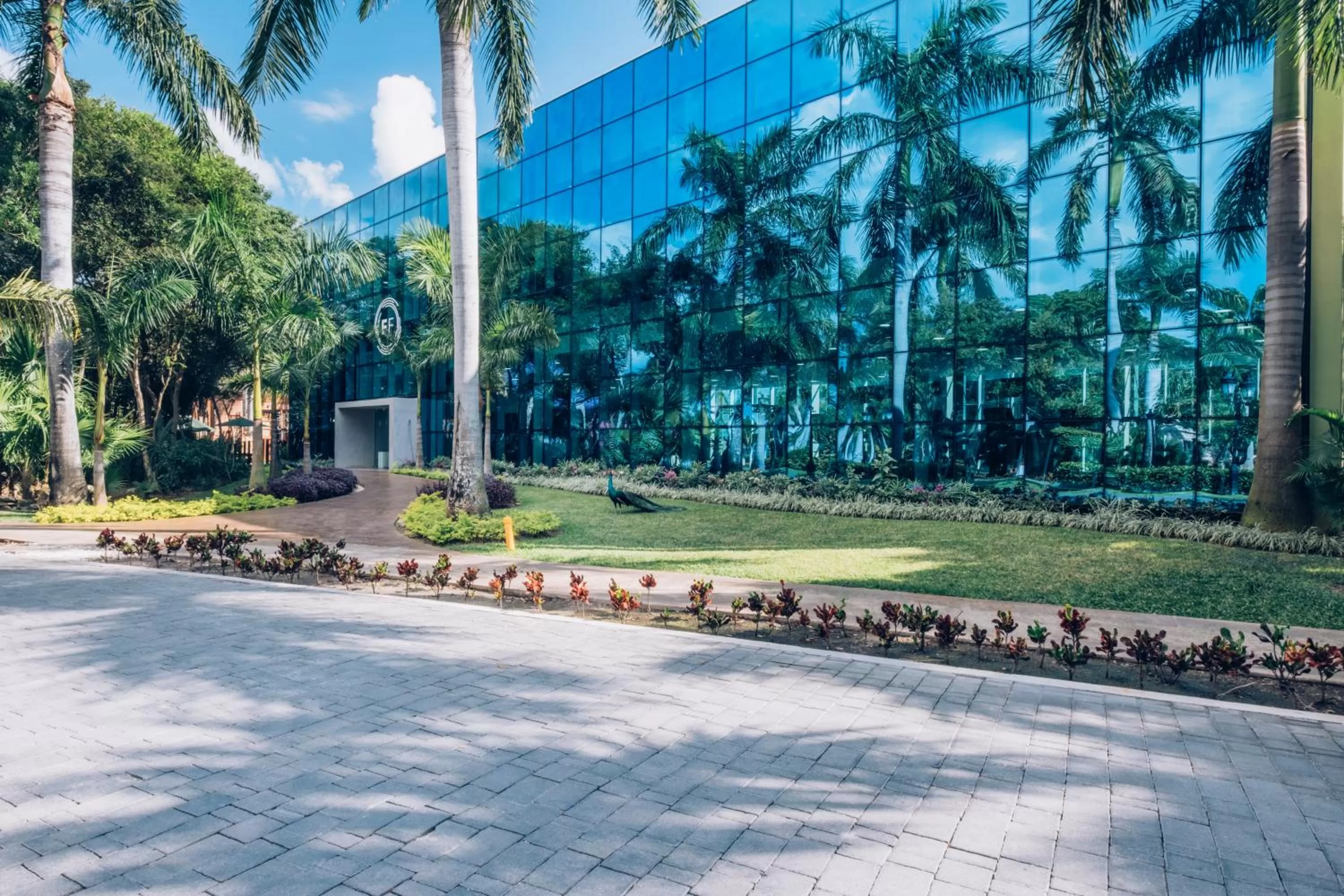 Fitness centre/facilities in Iberostar Waves Paraíso del Mar - All Inclusive