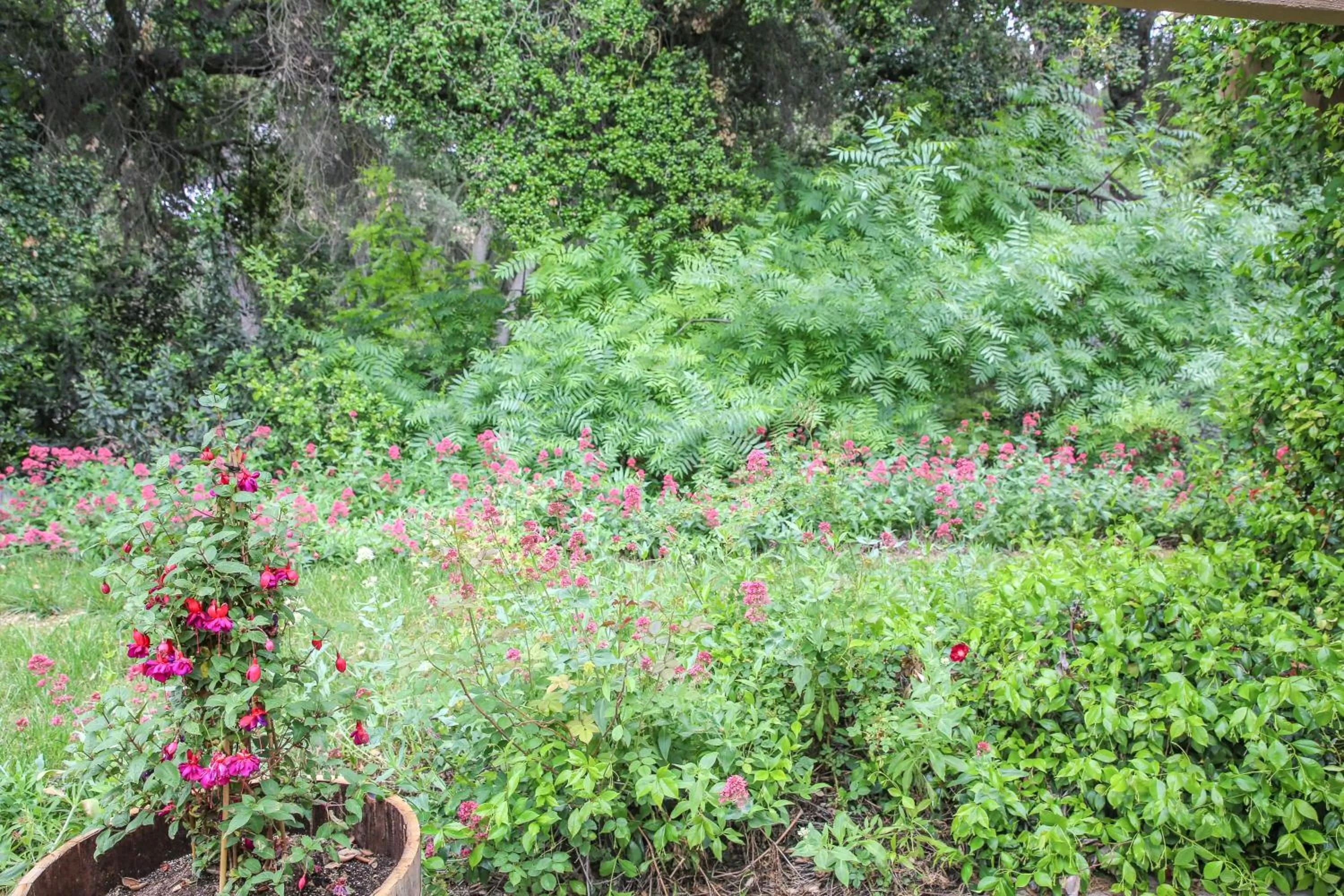 Natural landscape in The Eden House Vineyard