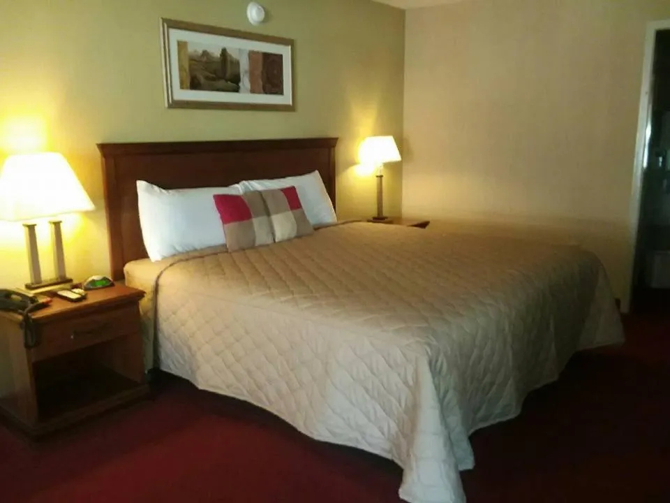 Bed in Springfield Inn TN