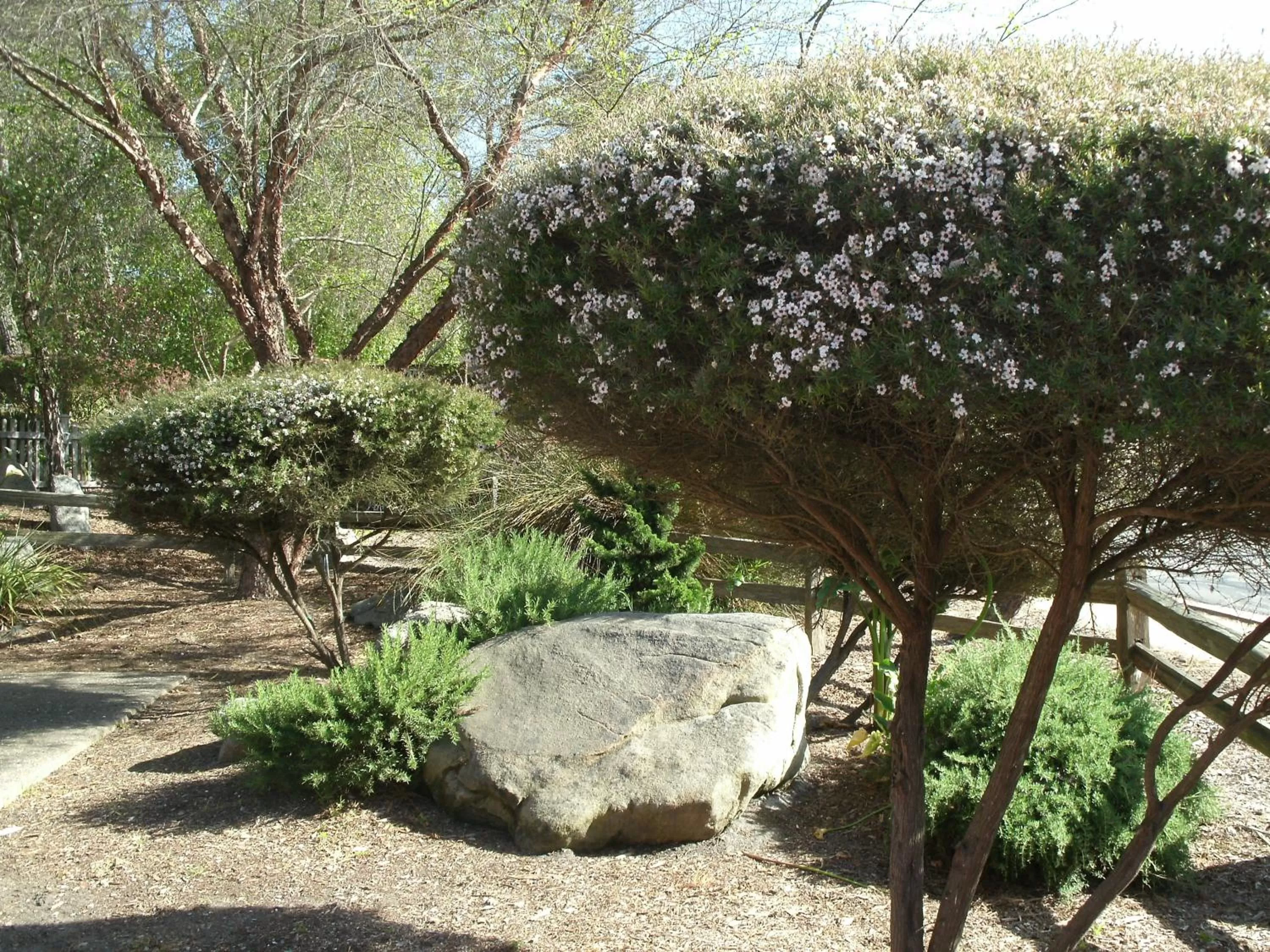 Area and facilities in Rosedale Inn