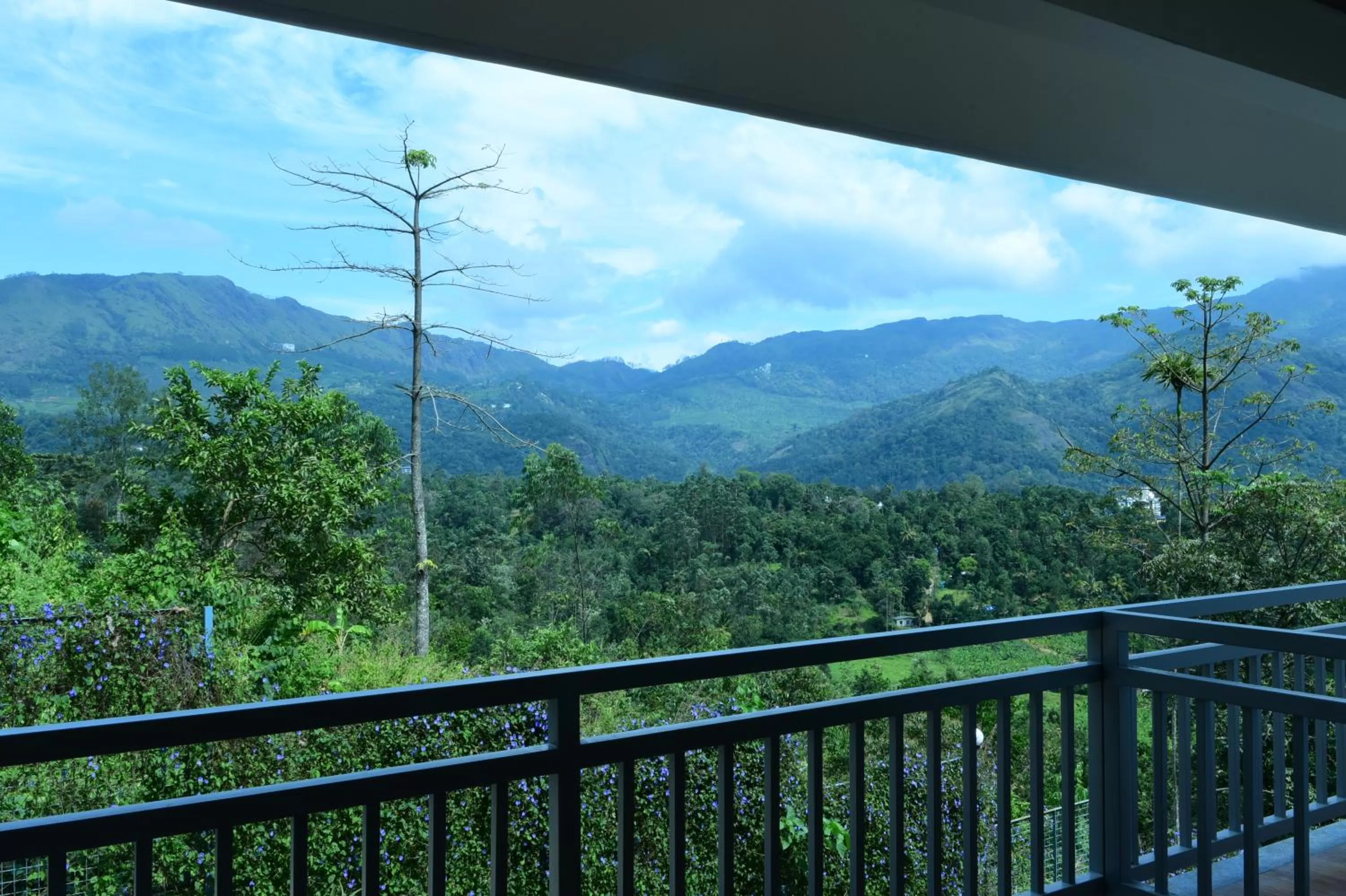Patio in Zenha Resorts
