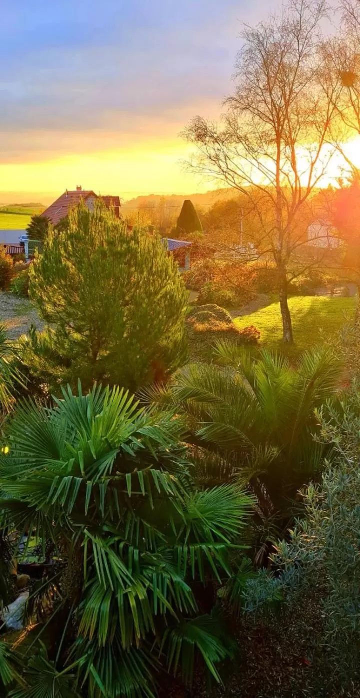 Natural landscape in La Pichonnière