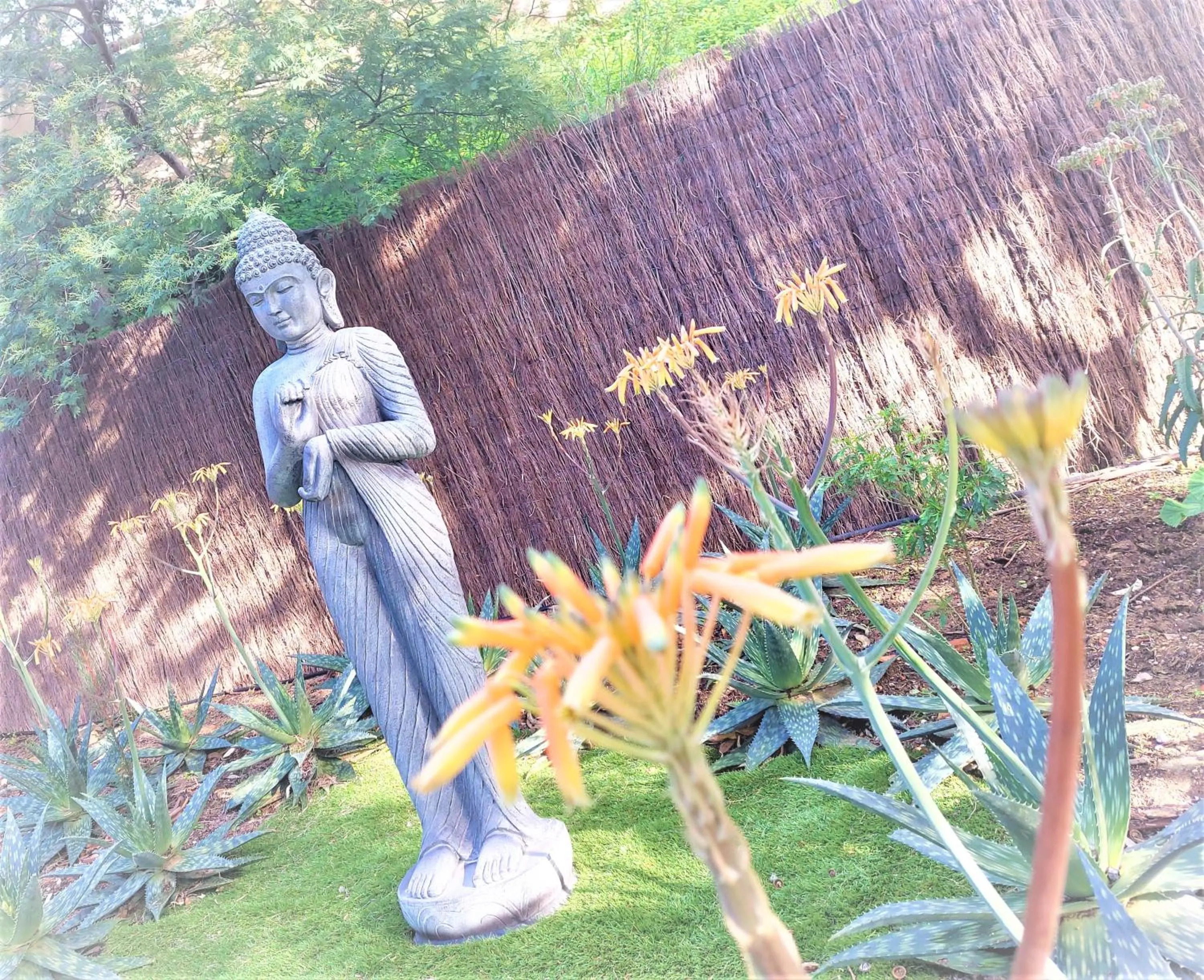 Garden in Les Jardins de Bormes, hôtel adult only avec sauna & jacuzzi