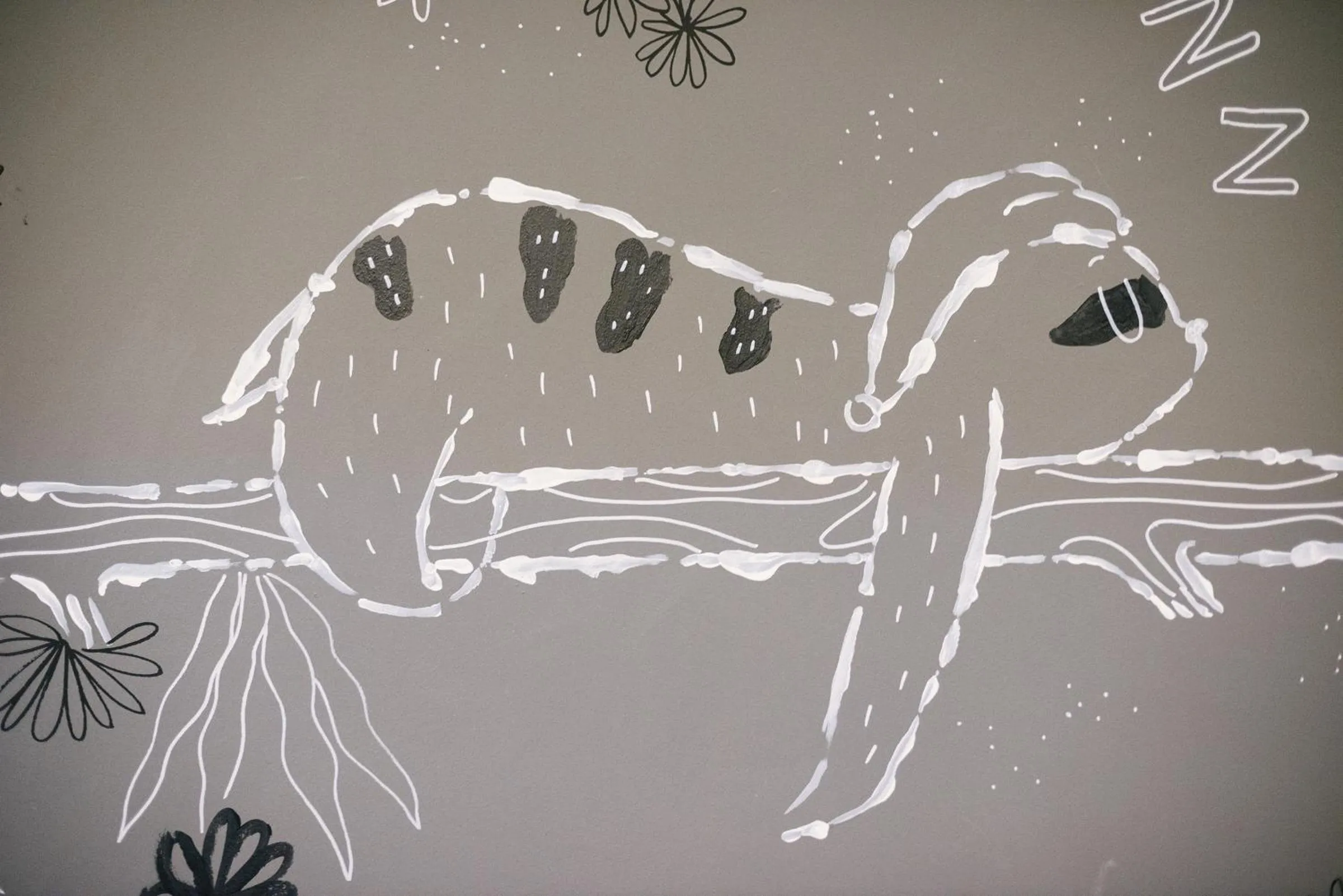 Other in TIRAS Patong Beach Hotel