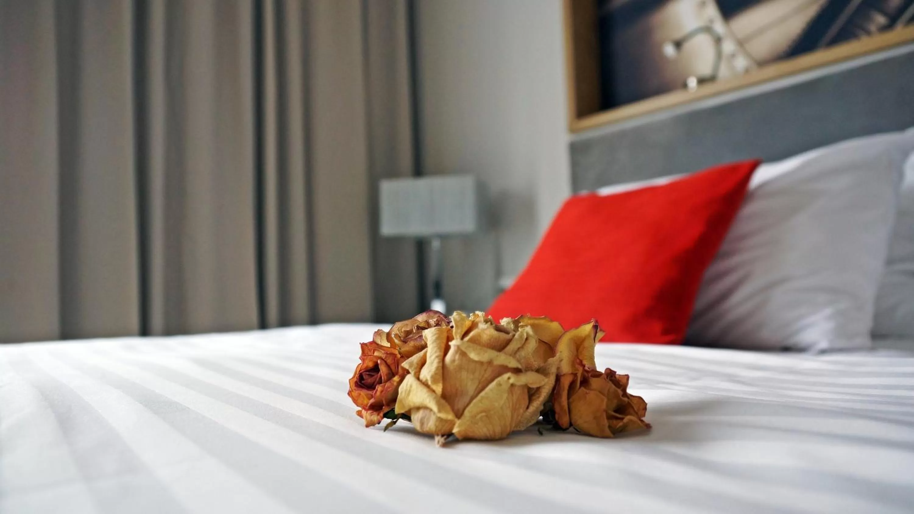 Photo of the whole room, Bed in Hotel Forza