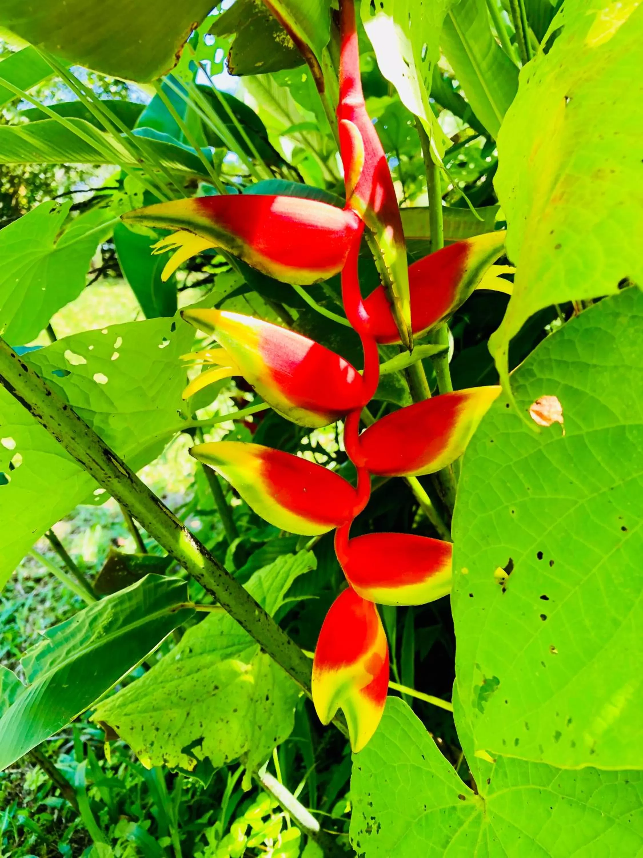 Natural landscape in Casa Oceana Bed & Breakfast