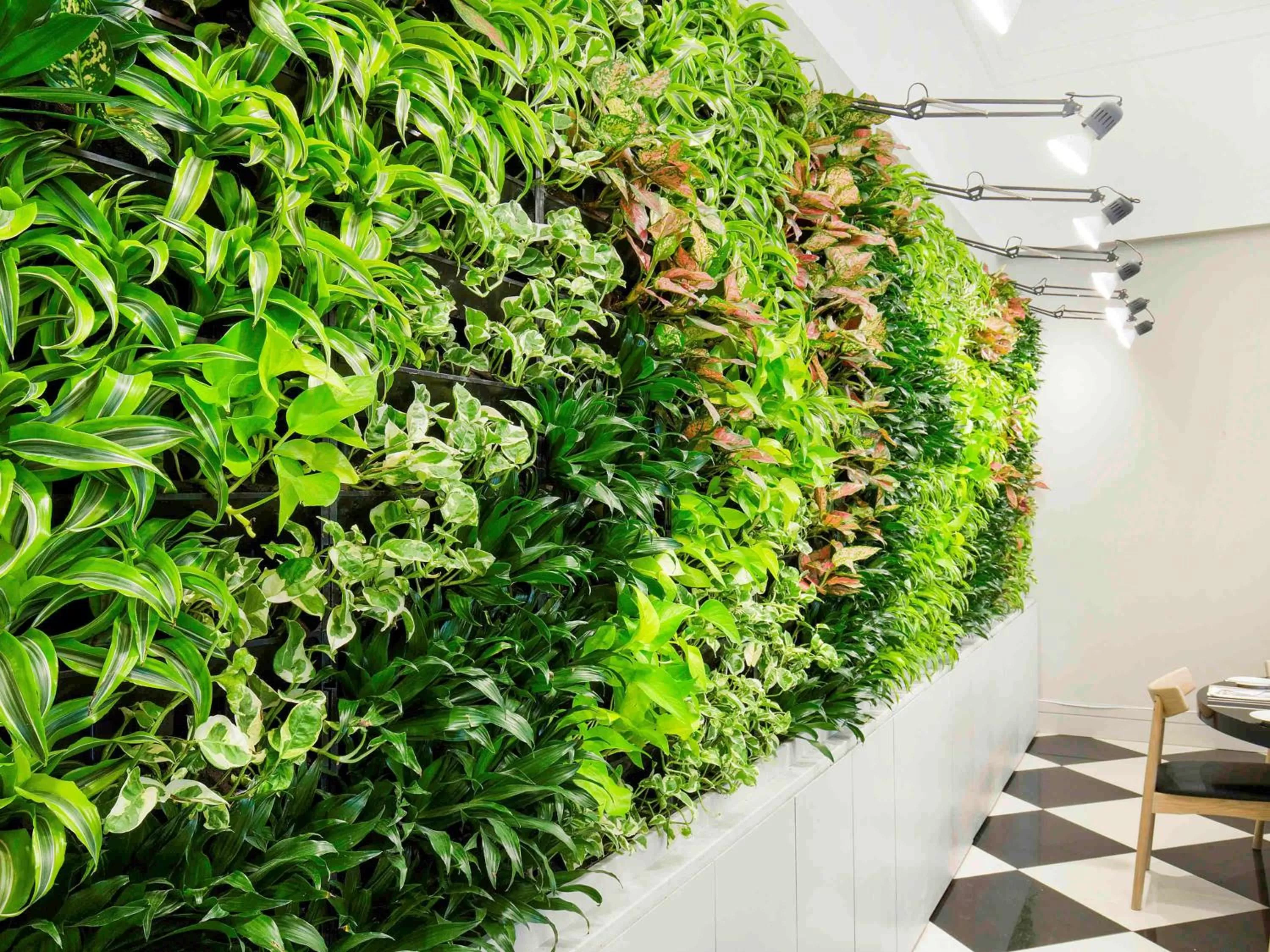 Restaurant/places to eat in Ibis Deira City Centre