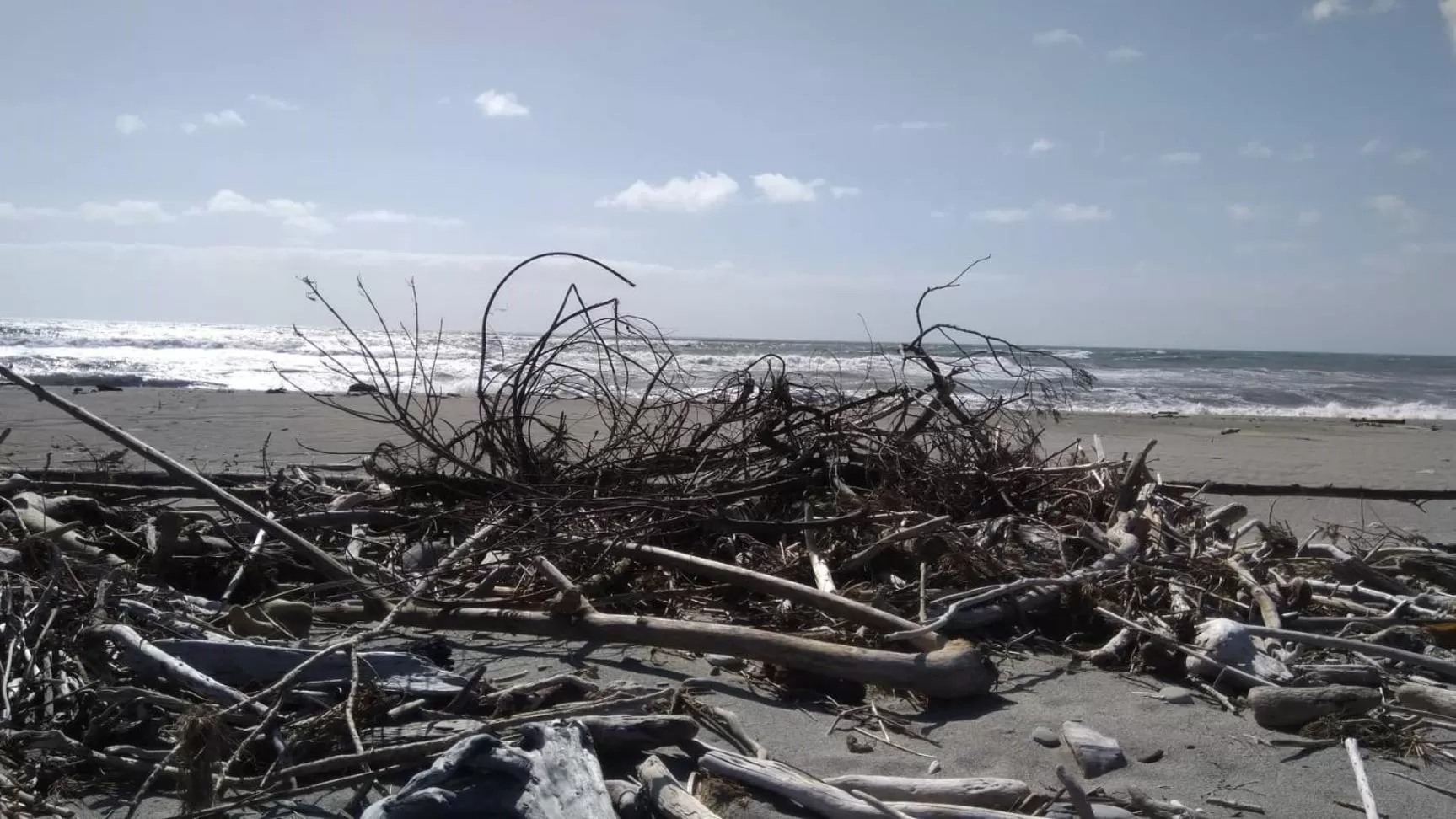 Beach in Awatuna Sunset Lodge