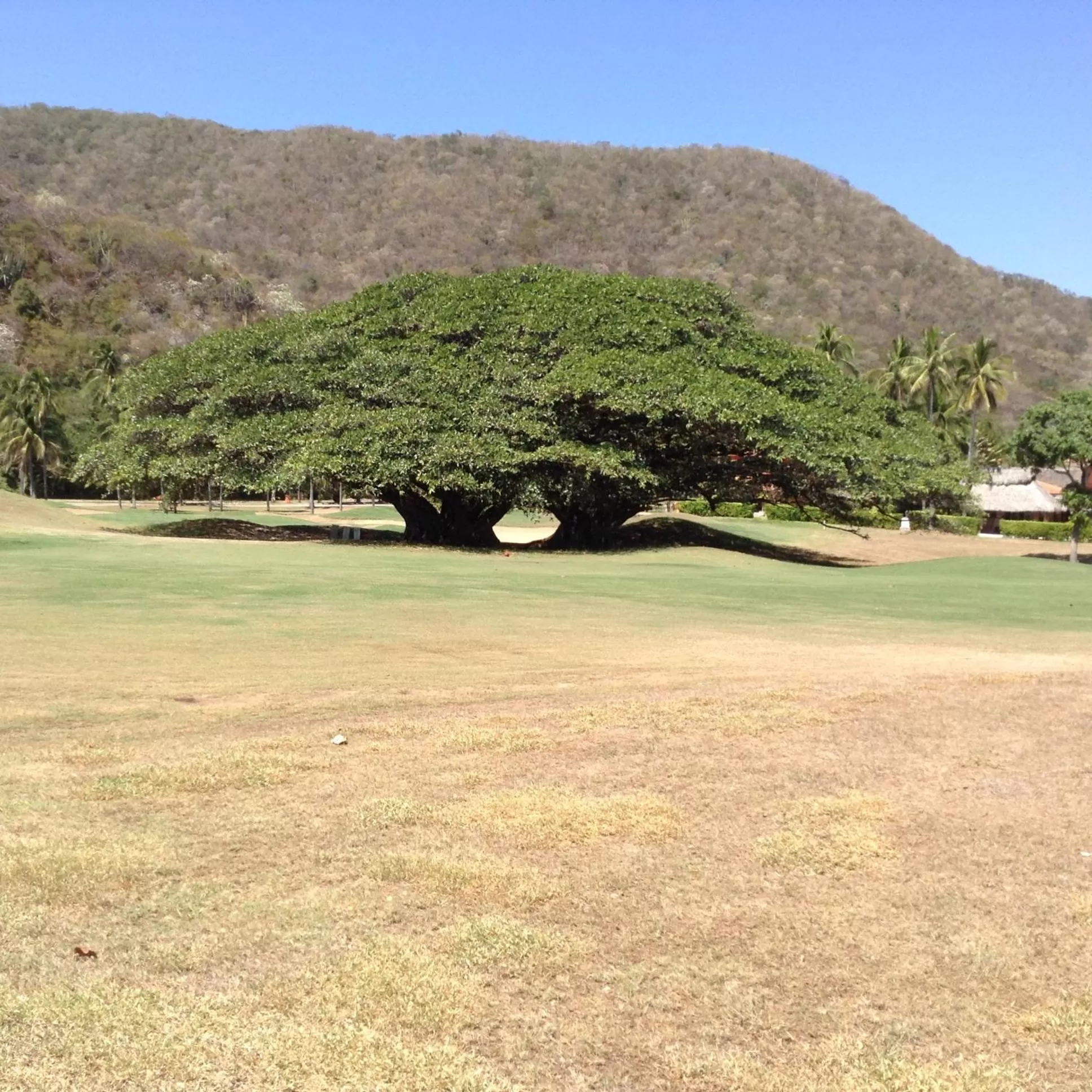 Other in Grand Isla Navidad Golf & Spa Resort with Marina