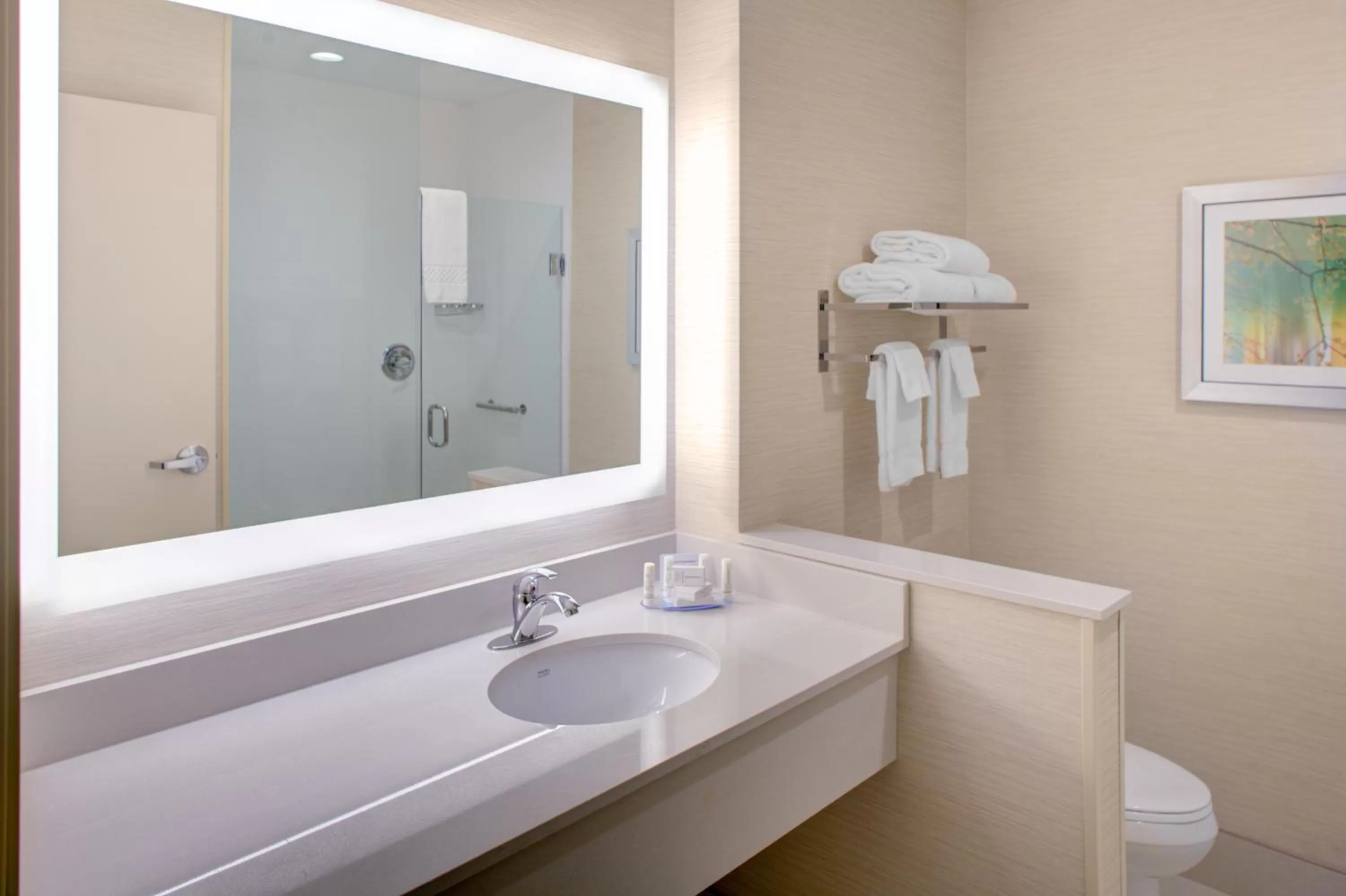 Toilet in Fairfield Inn & Suites by Marriott Detroit Canton