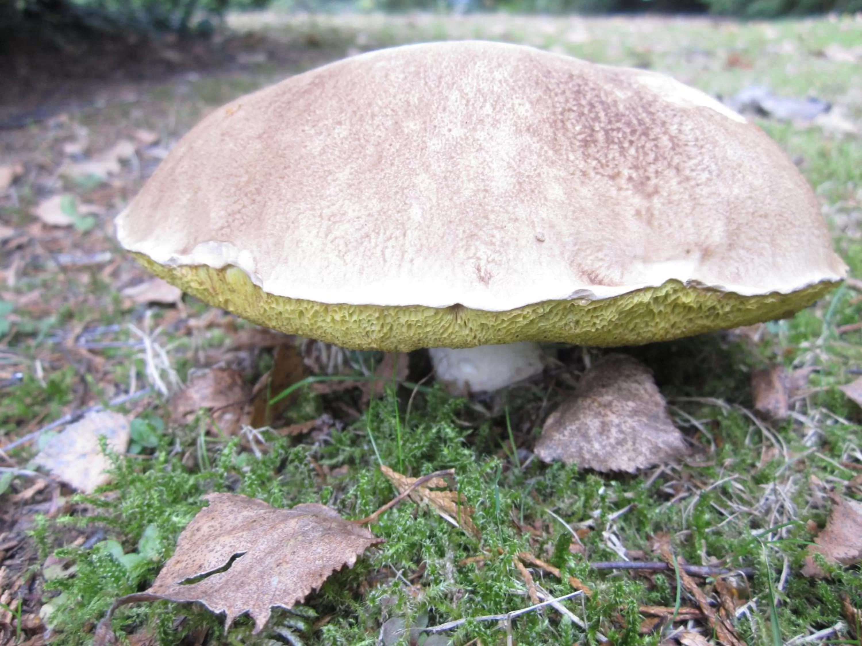 Facade/entrance in La Croix du Reh